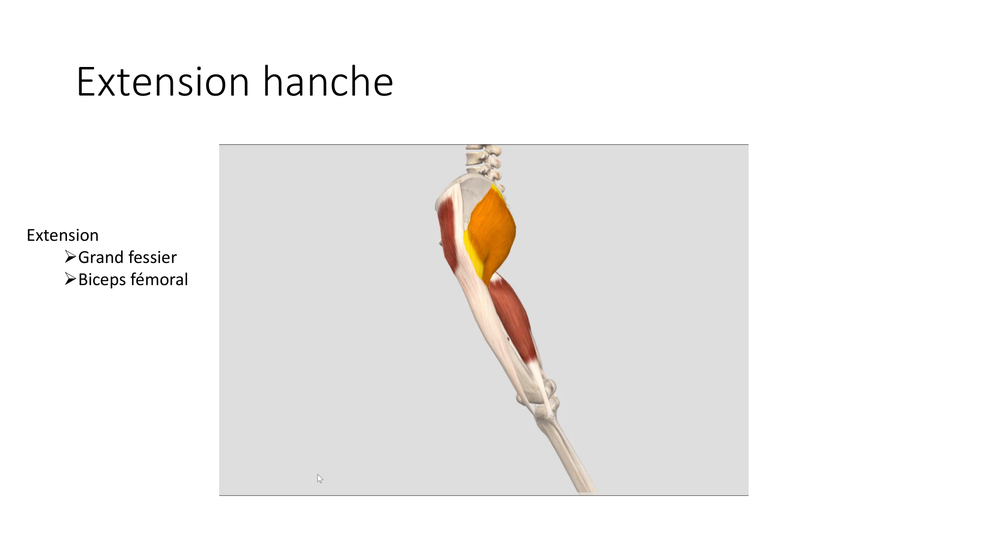 1 BA MI hanche 2025-26 page 28