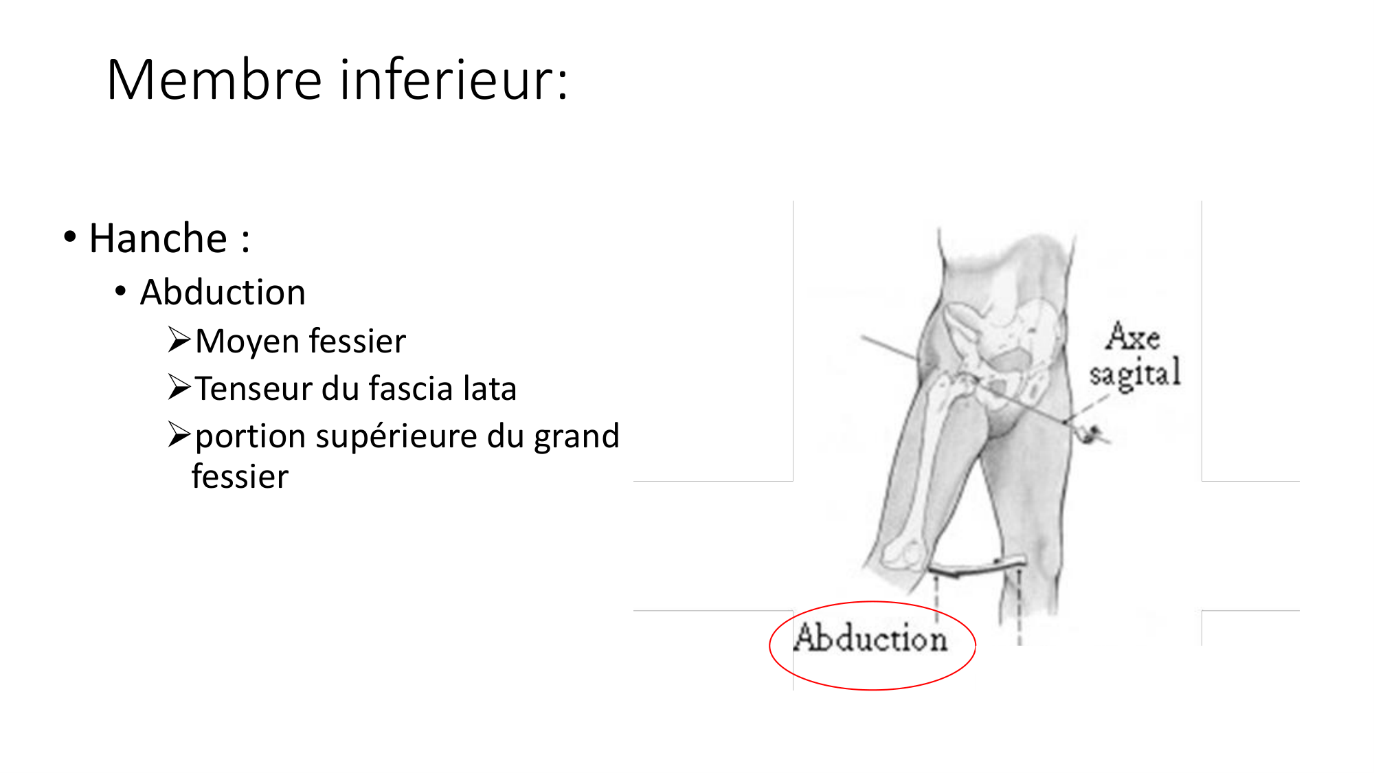 1 BA MI hanche 2025-26 page 30