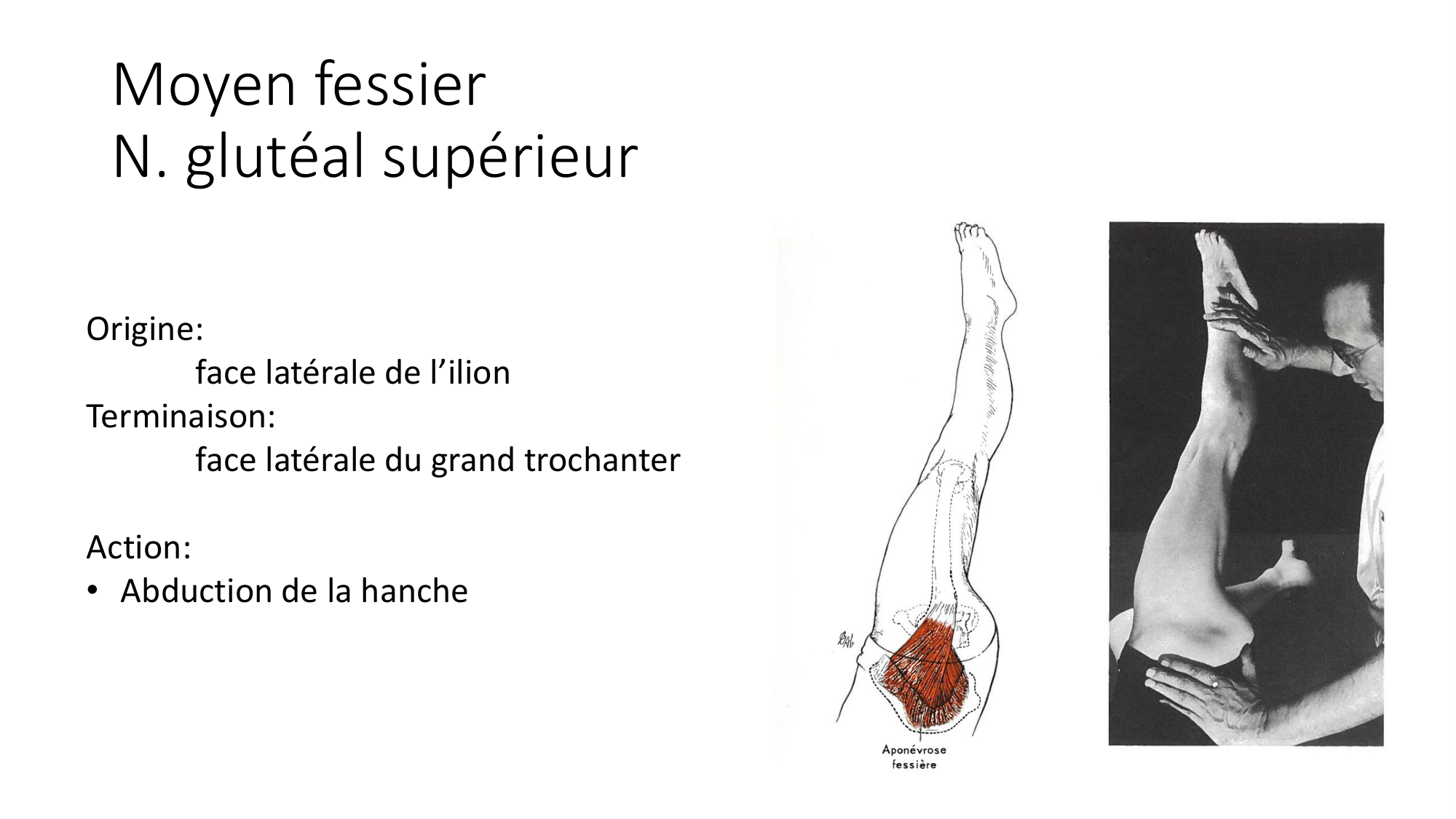 1 BA MI hanche 2025-26 page 31