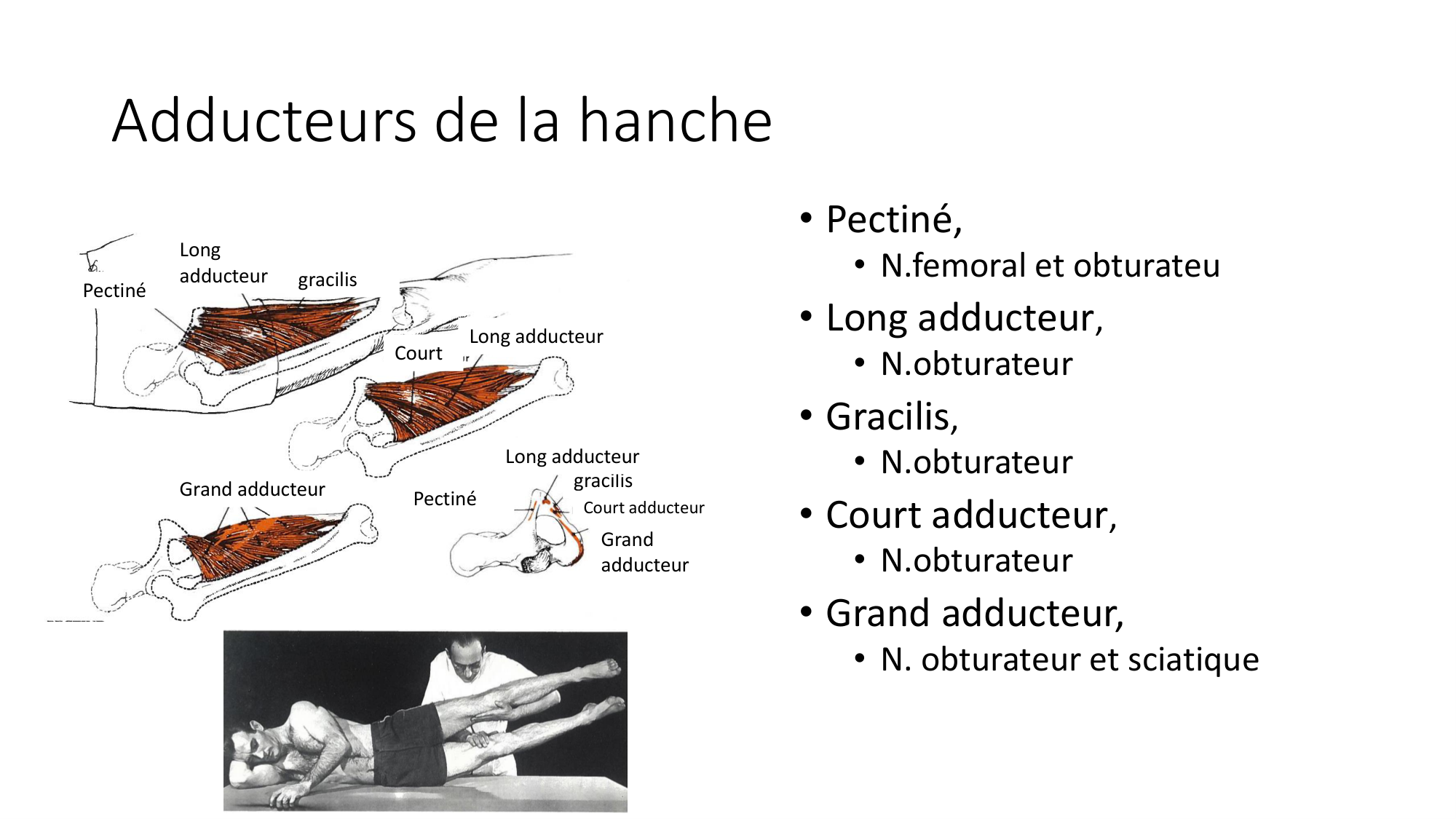 1 BA MI hanche 2025-26 page 34