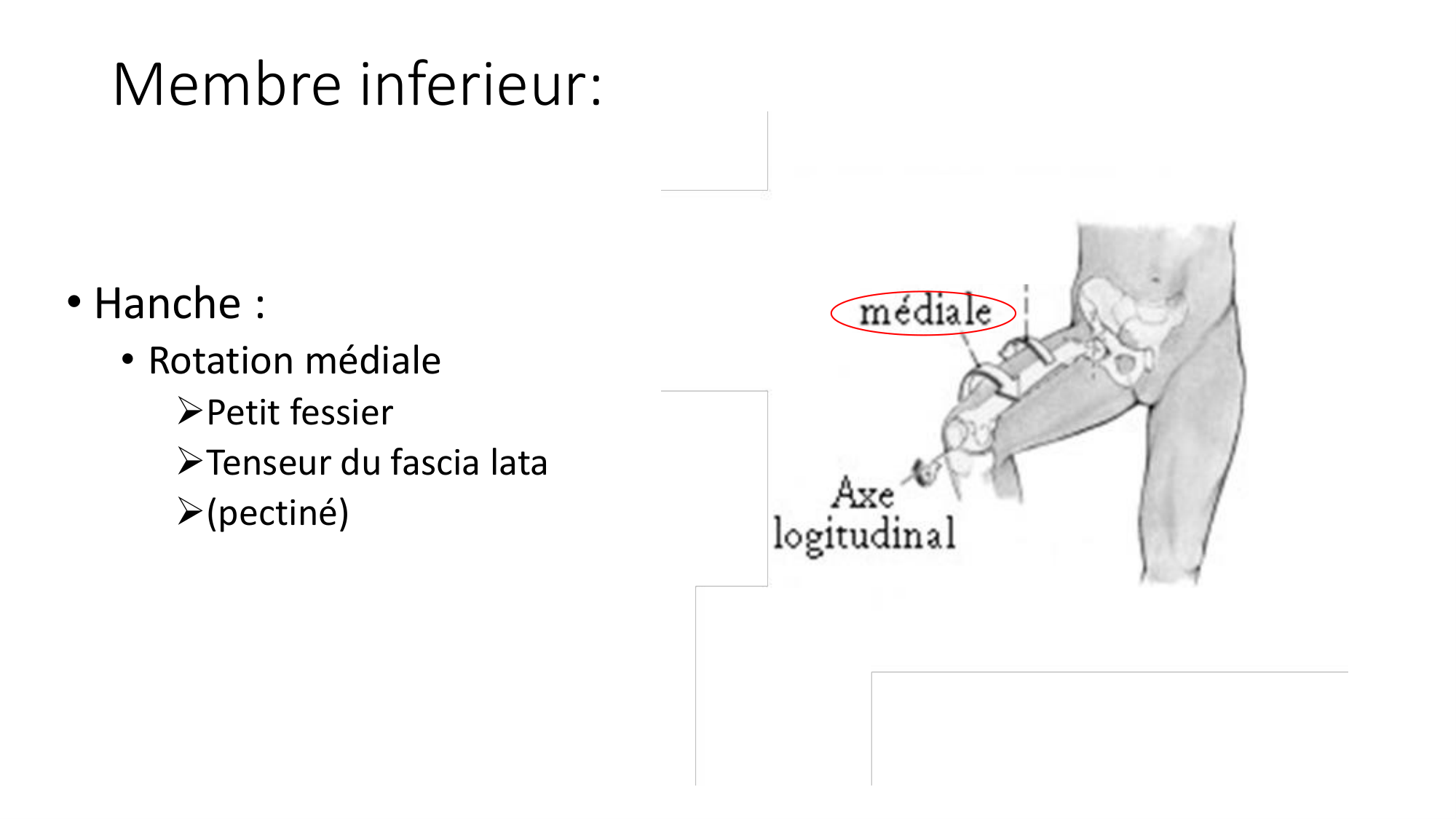 1 BA MI hanche 2025-26 page 38
