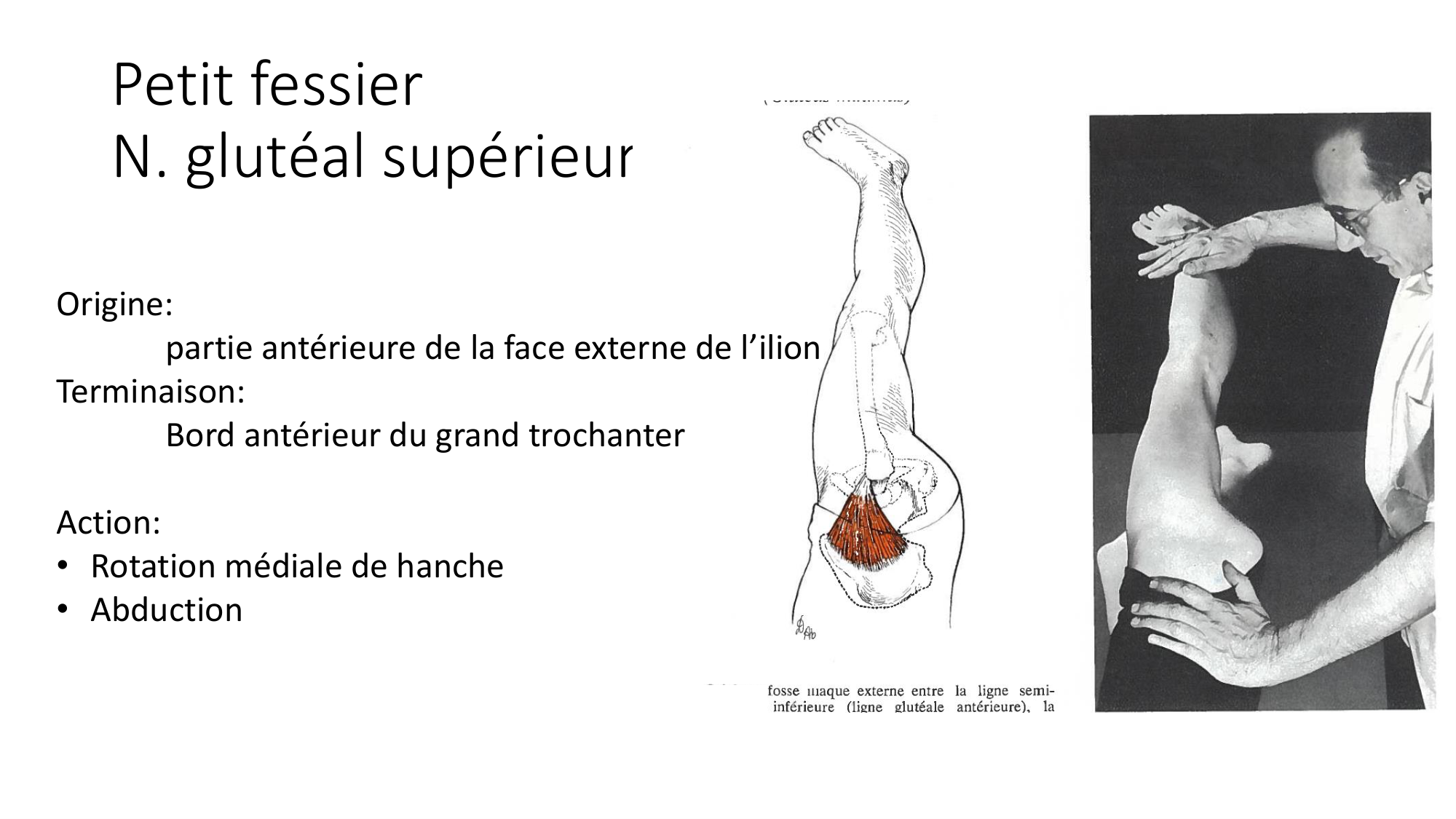 1 BA MI hanche 2025-26 page 39