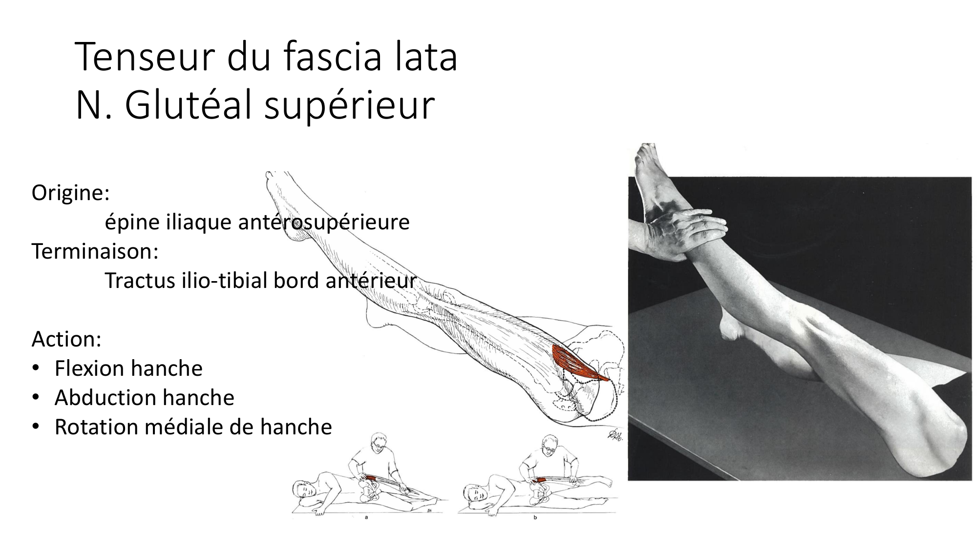 1 BA MI hanche 2025-26 page 40