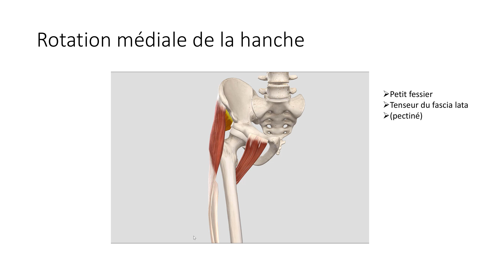 1 BA MI hanche 2025-26 page 41