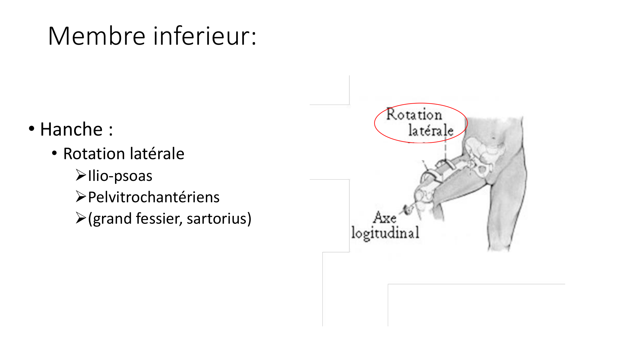 1 BA MI hanche 2025-26 page 42