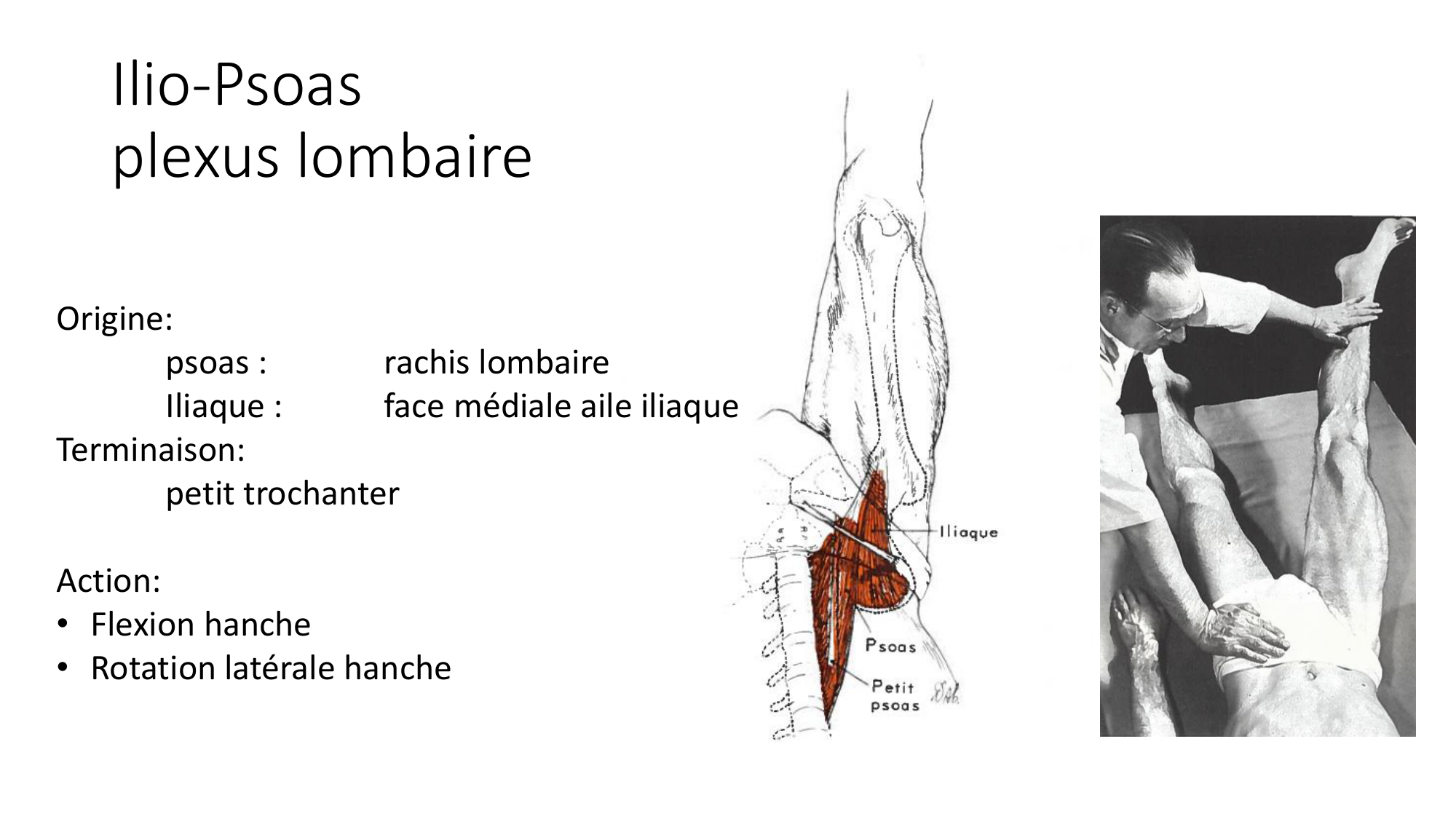 1 BA MI hanche 2025-26 page 43