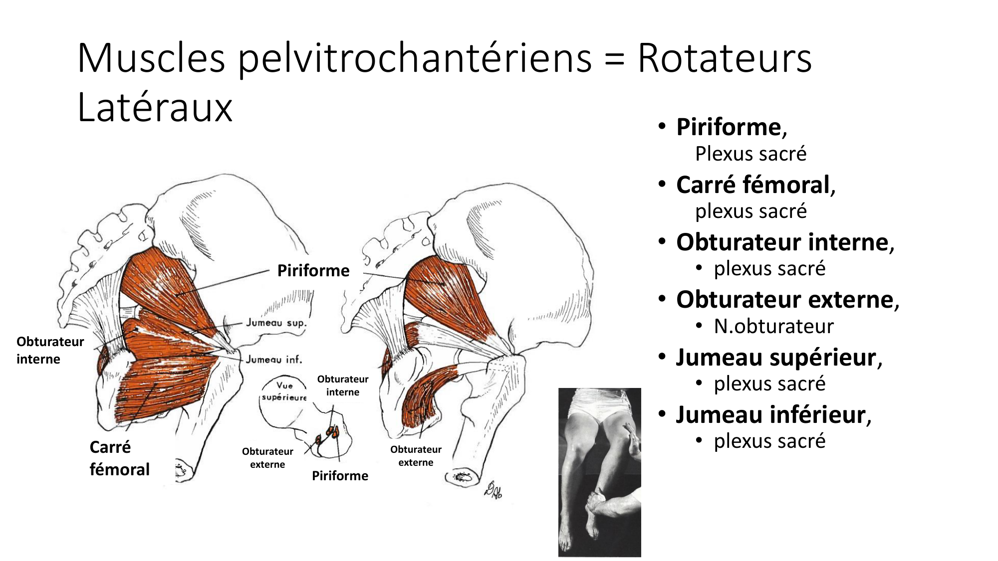 1 BA MI hanche 2025-26 page 44