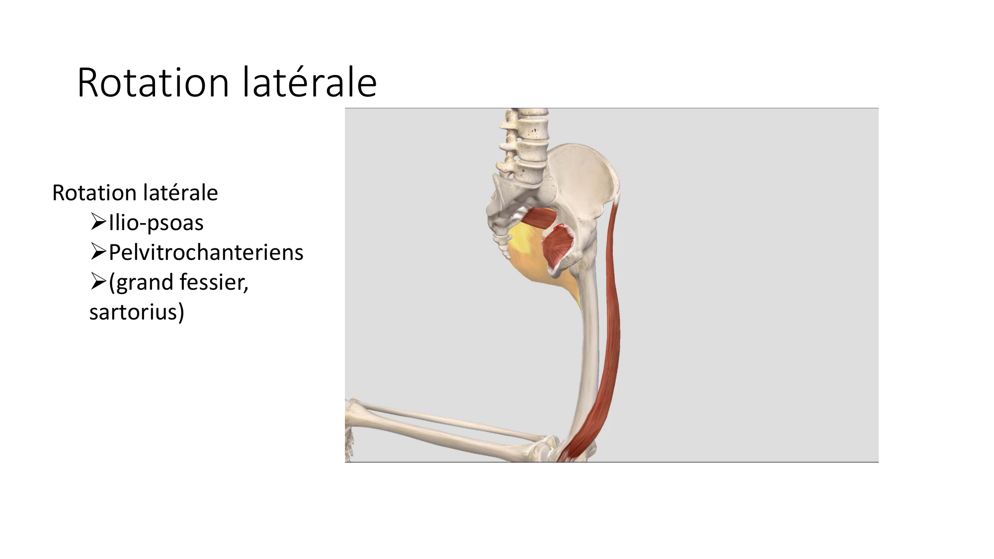 1 BA MI hanche 2025-26 page 49