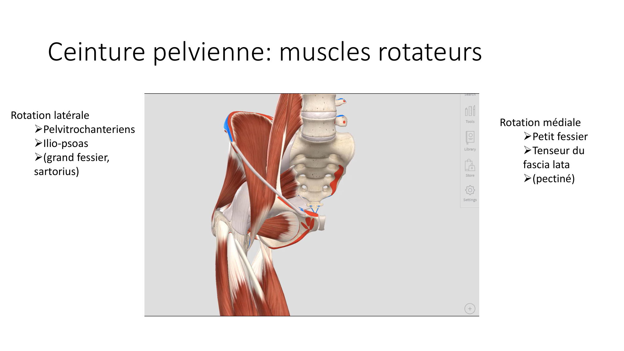 1 BA MI hanche 2025-26 page 50