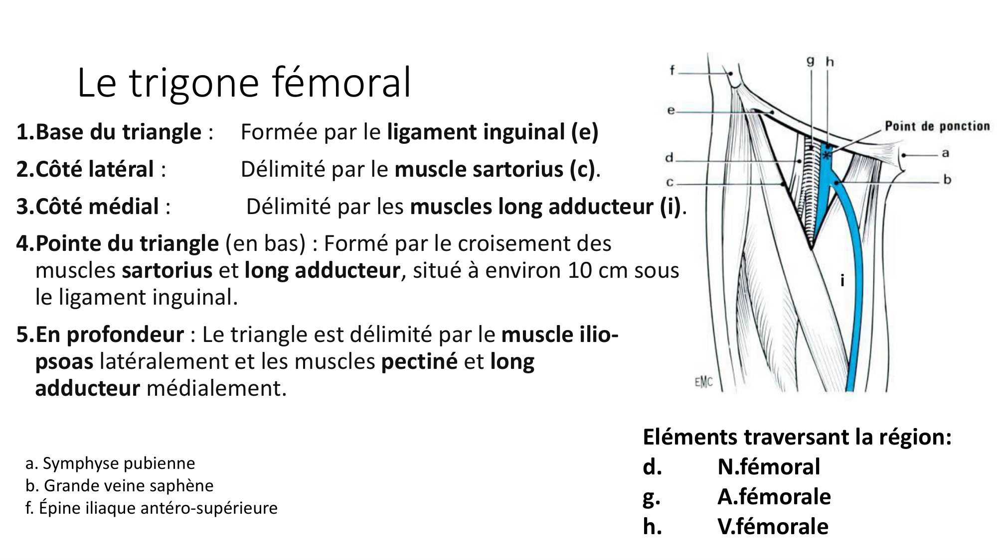 1 BA MI hanche 2025-26 page 52