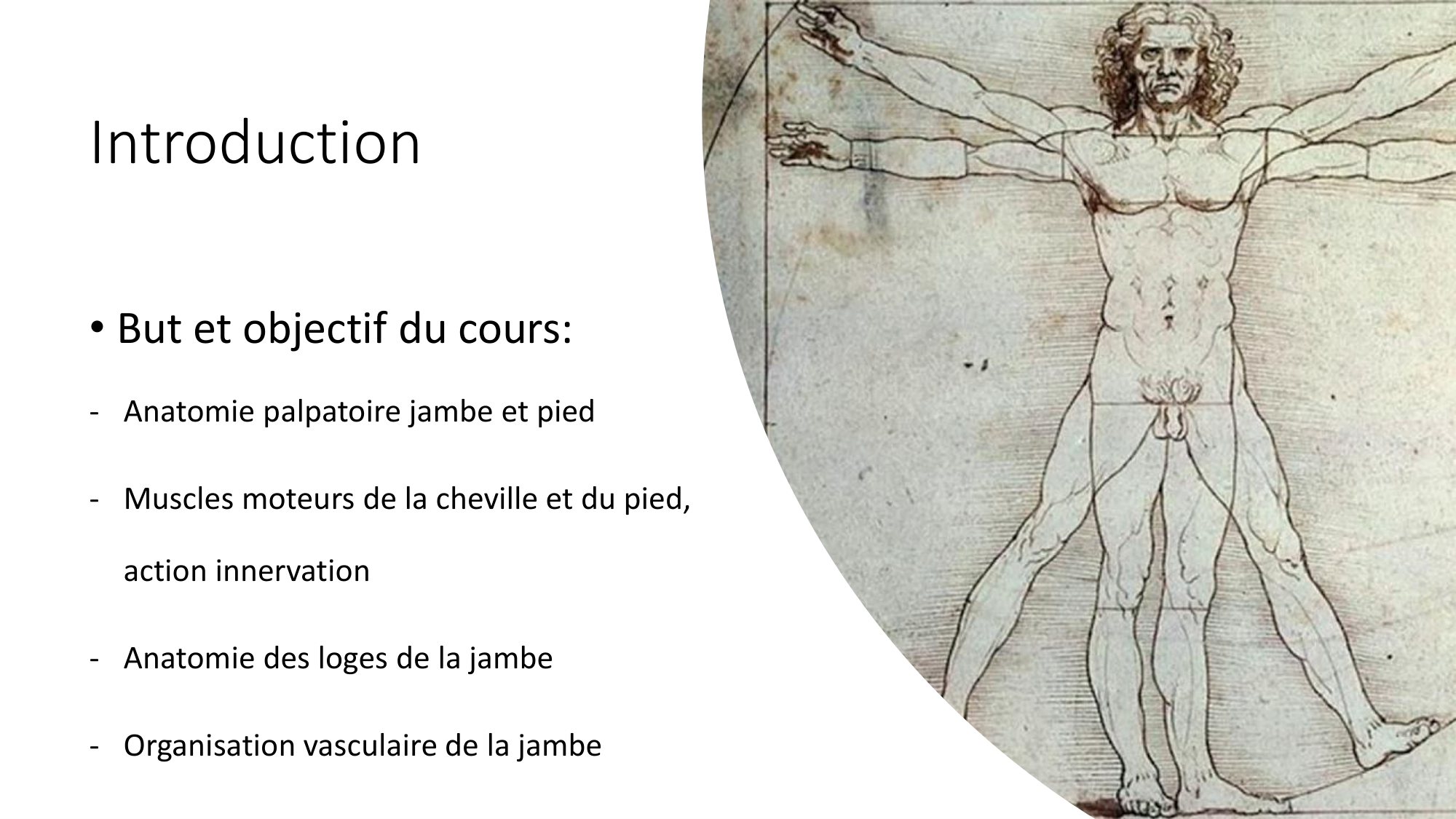 1 BA MI jambe pied 2025-26 page 2