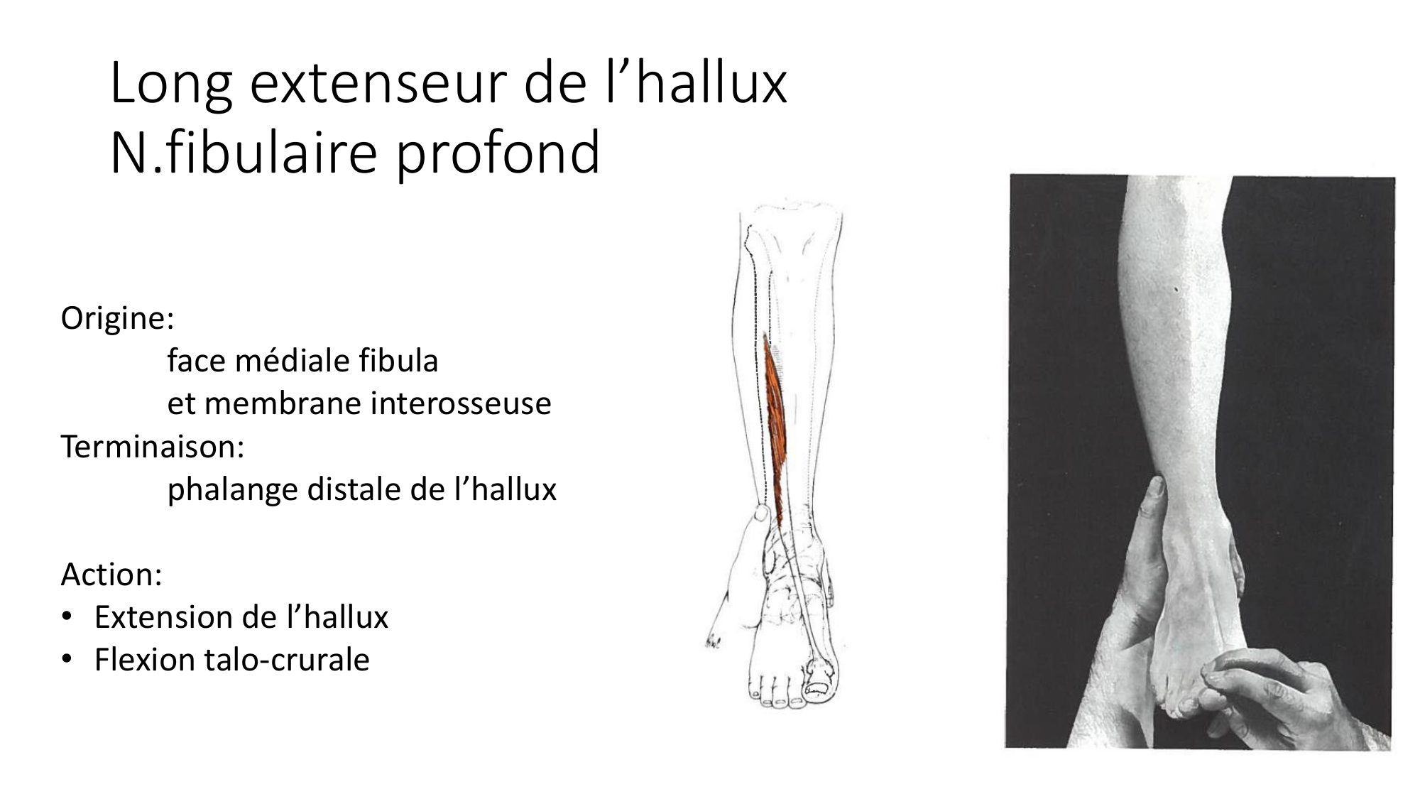 1 BA MI jambe pied 2025-26 page 29