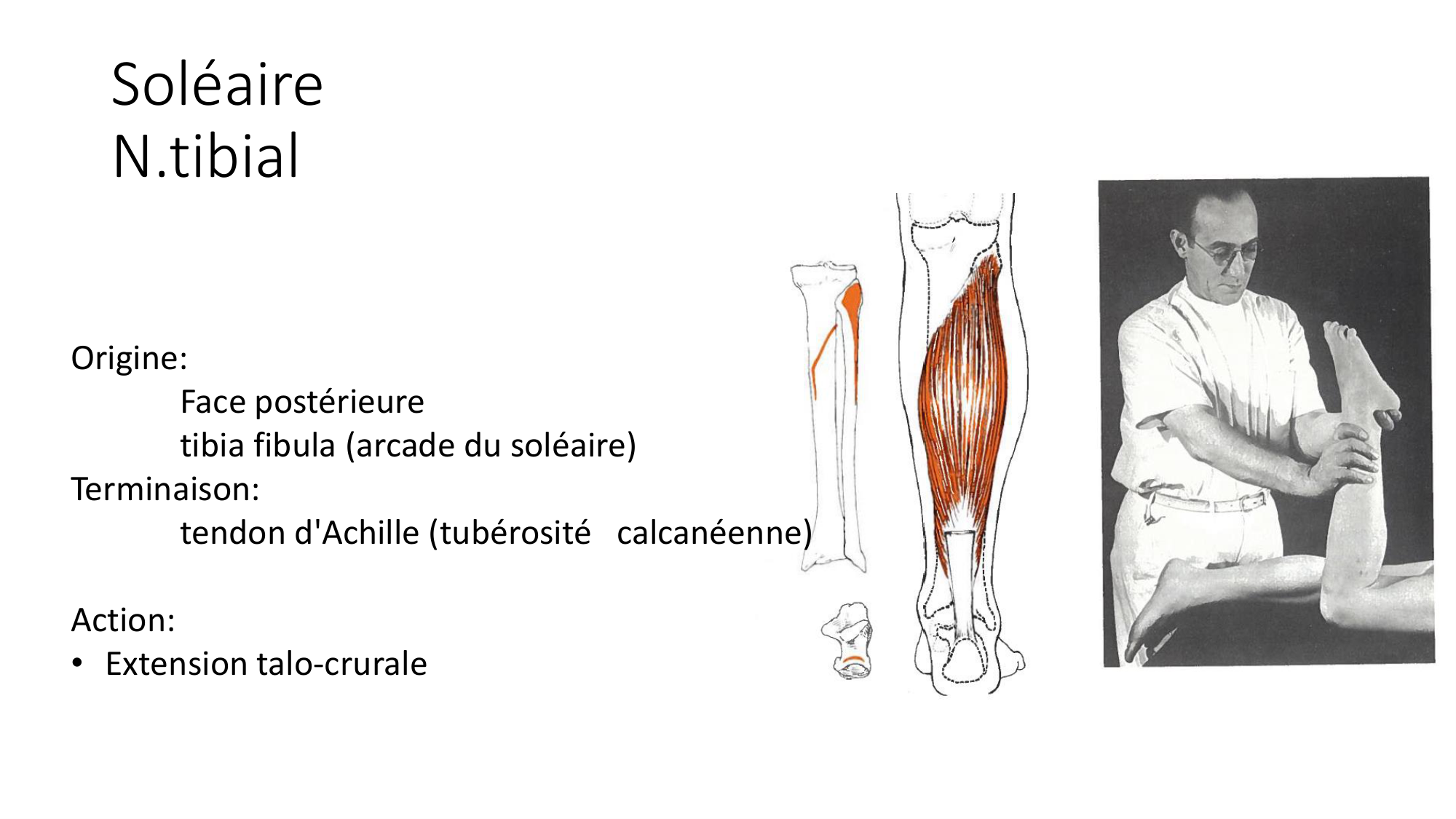 1 BA MI jambe pied 2025-26 page 32