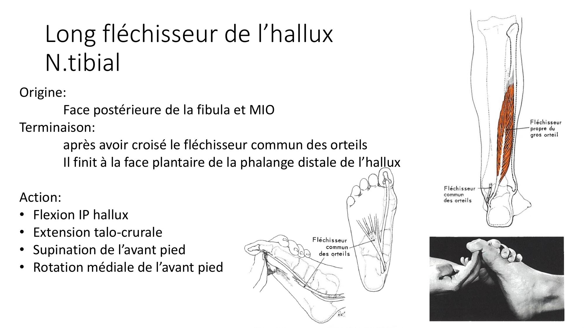 1 BA MI jambe pied 2025-26 page 35