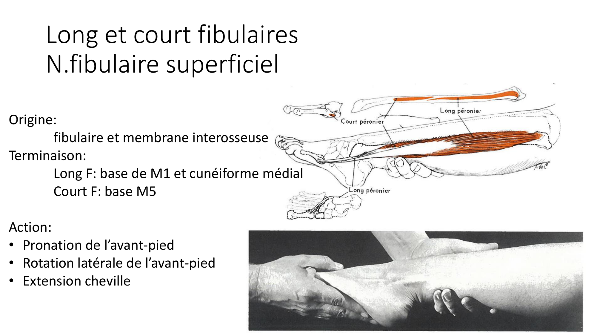 1 BA MI jambe pied 2025-26 page 36