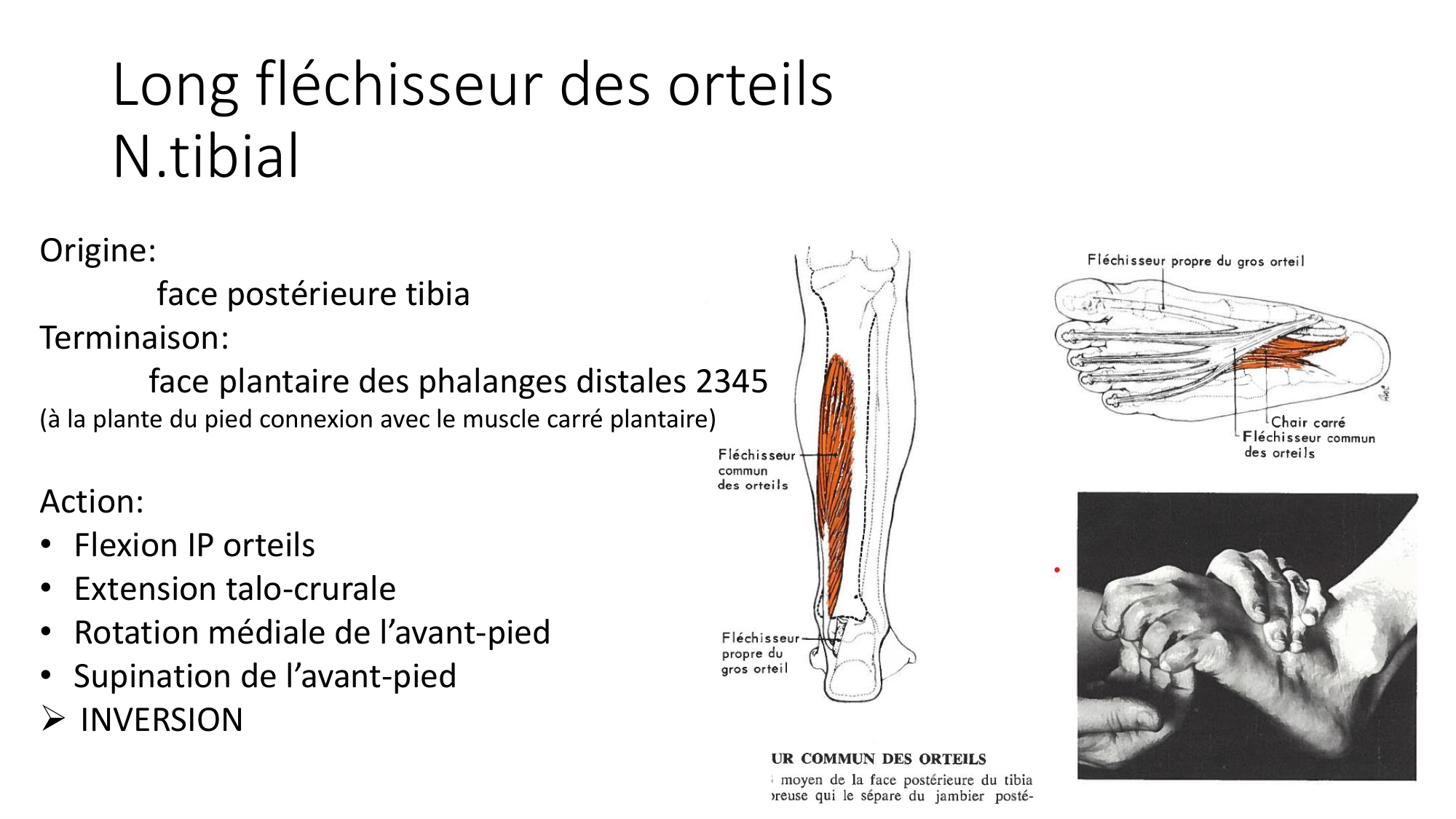 1 BA MI jambe pied 2025-26 page 40