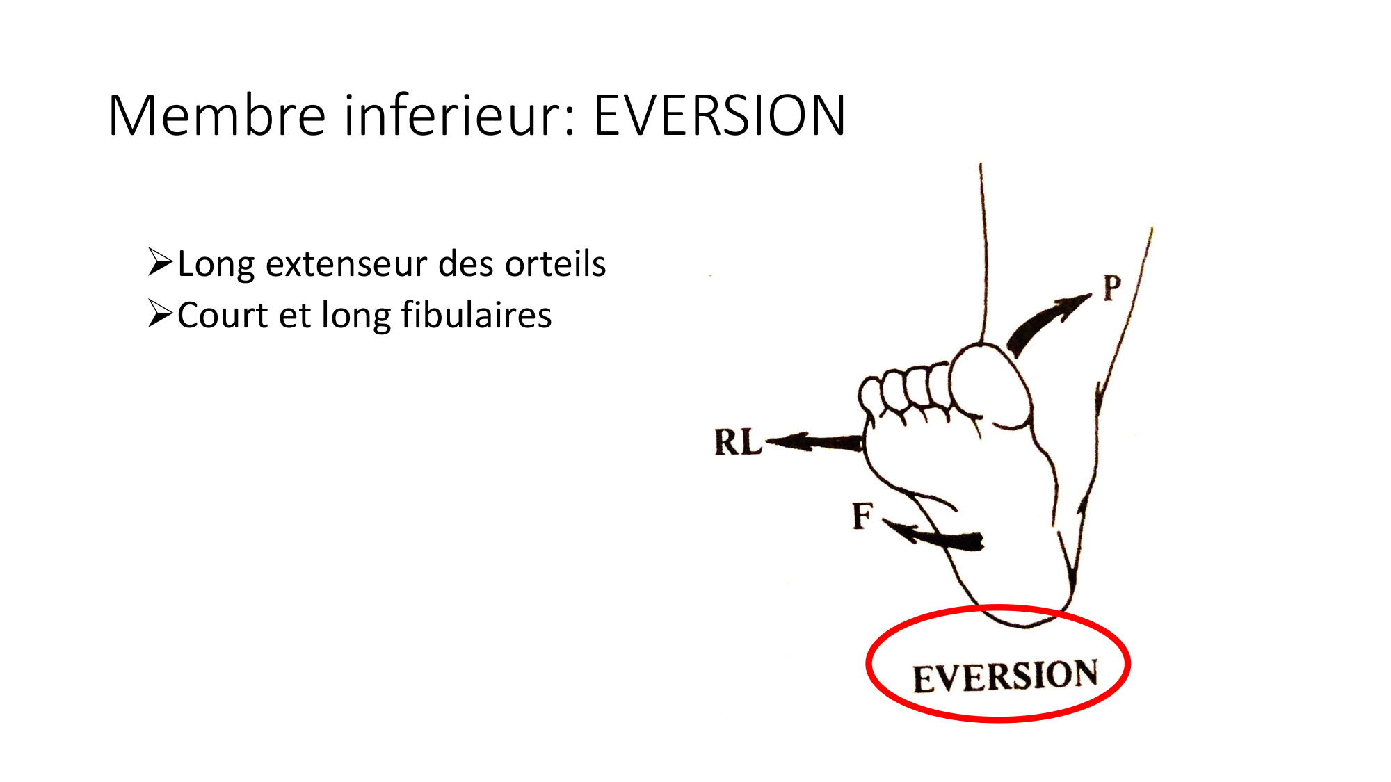 1 BA MI jambe pied 2025-26 page 42