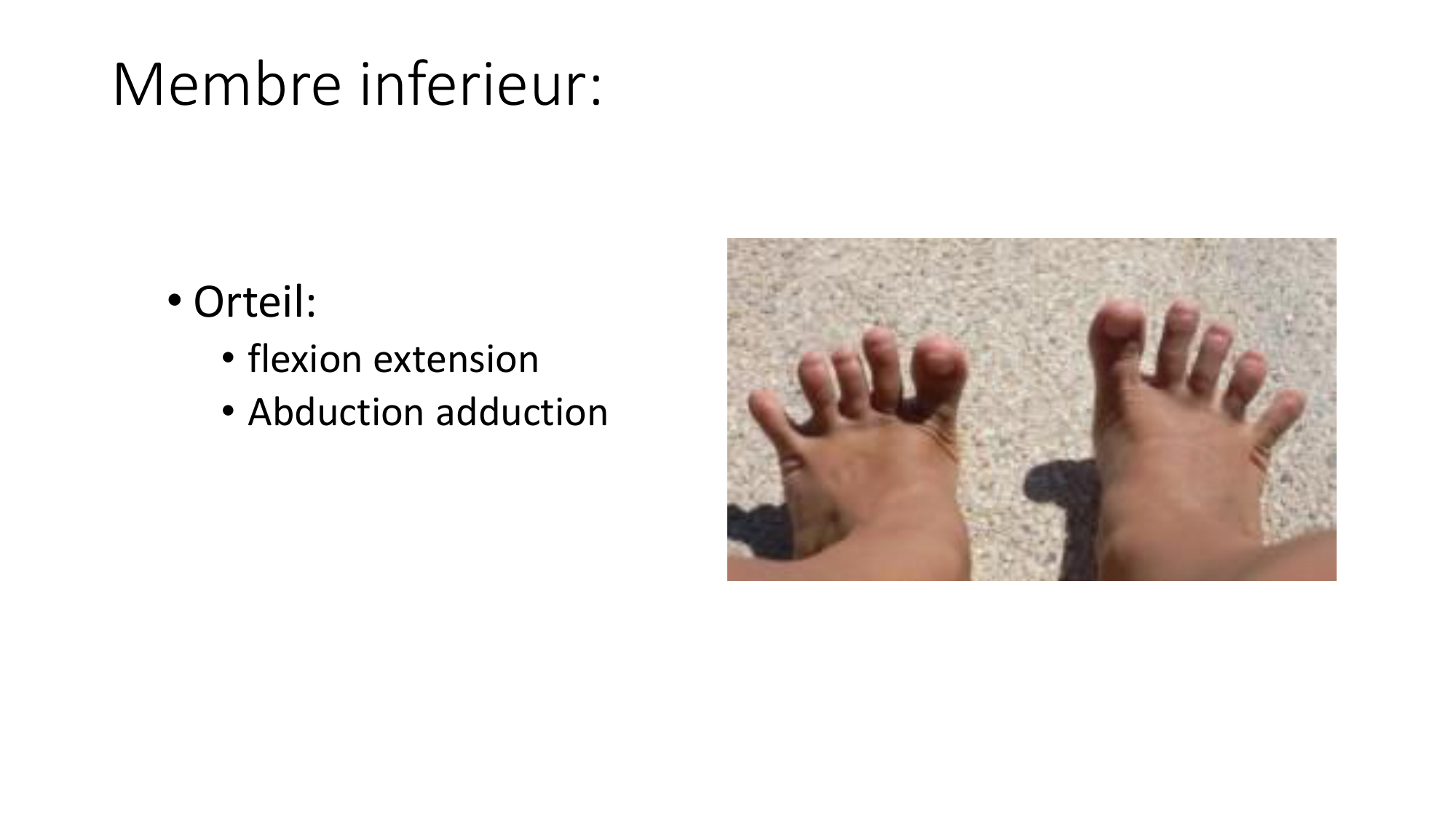 1 BA MI jambe pied 2025-26 page 53