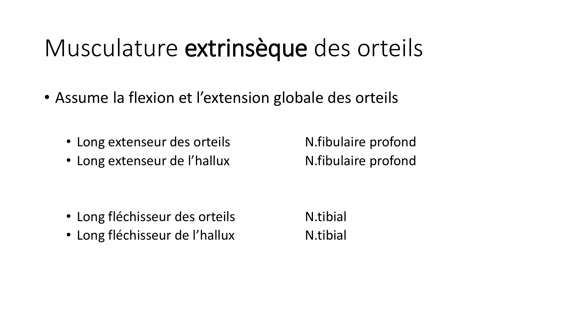 1 BA MI jambe pied 2025-26 page 54