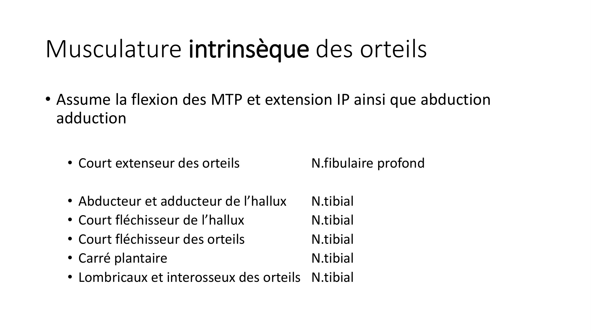 1 BA MI jambe pied 2025-26 page 55