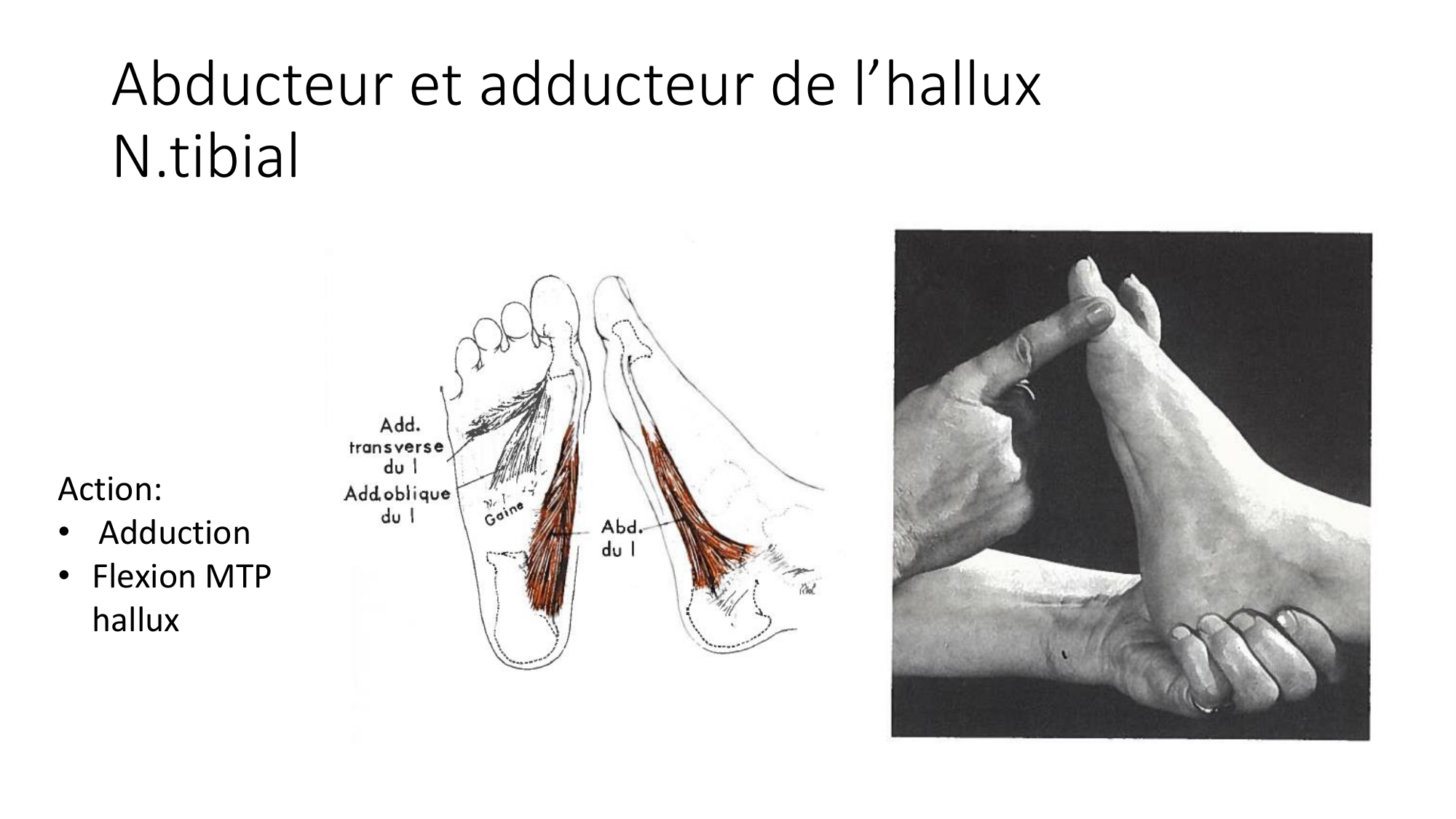 1 BA MI jambe pied 2025-26 page 57