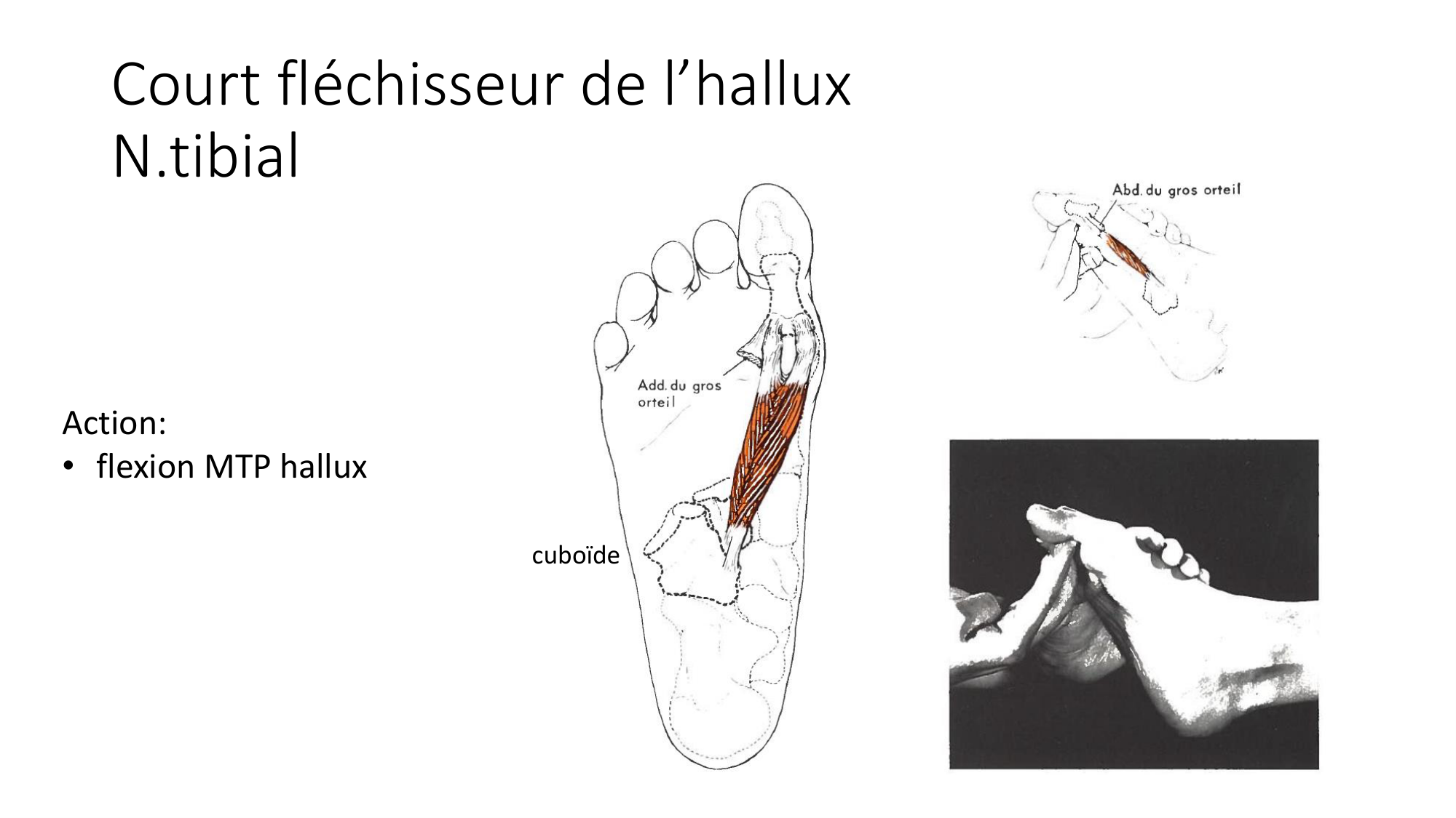 1 BA MI jambe pied 2025-26 page 58