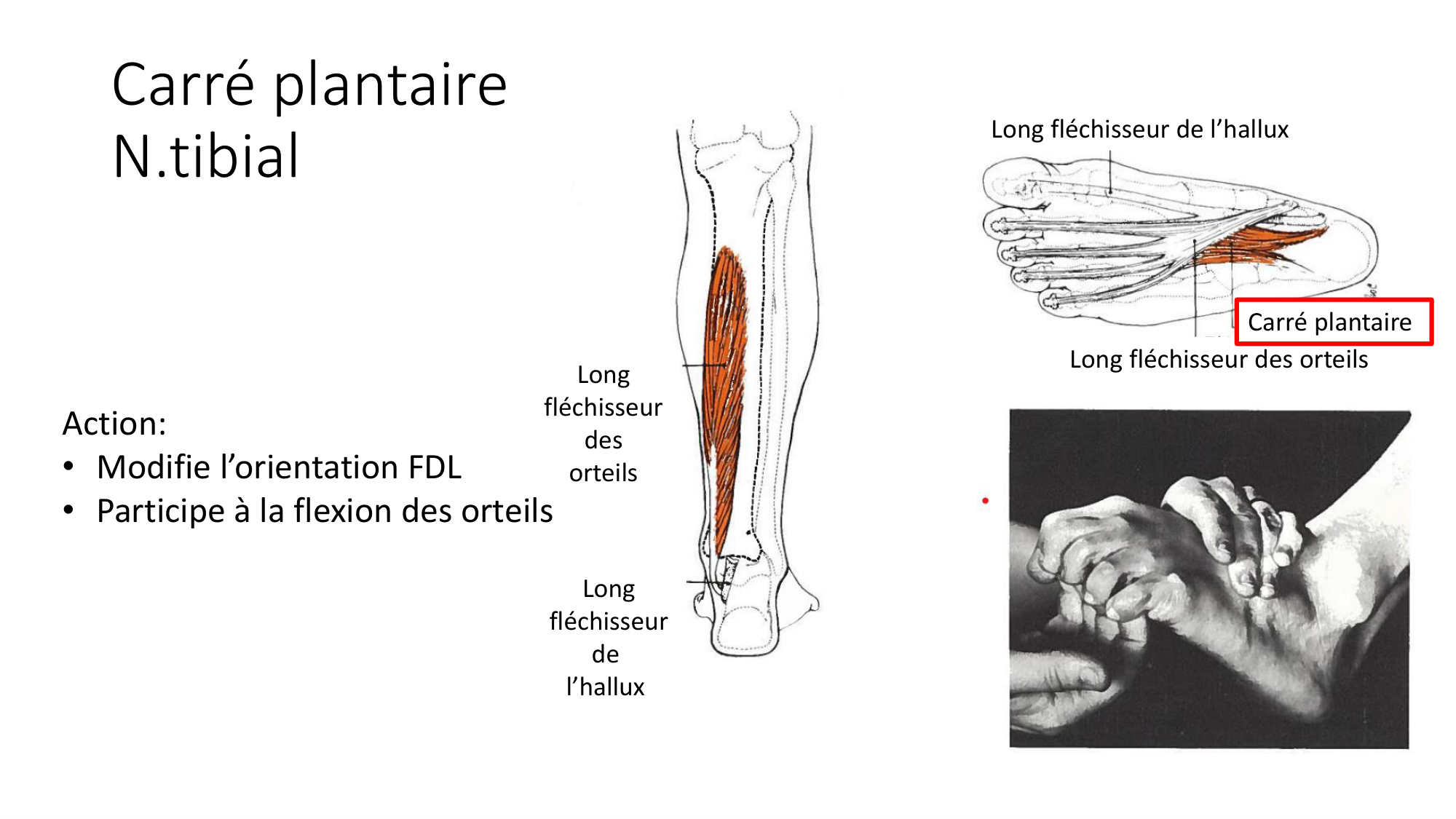 1 BA MI jambe pied 2025-26 page 60
