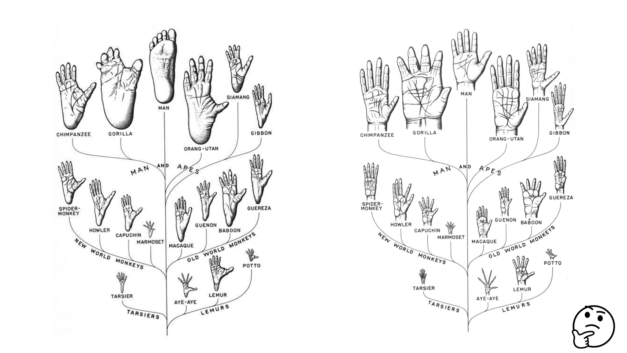 1 BA MI jambe pied 2025-26 page 68