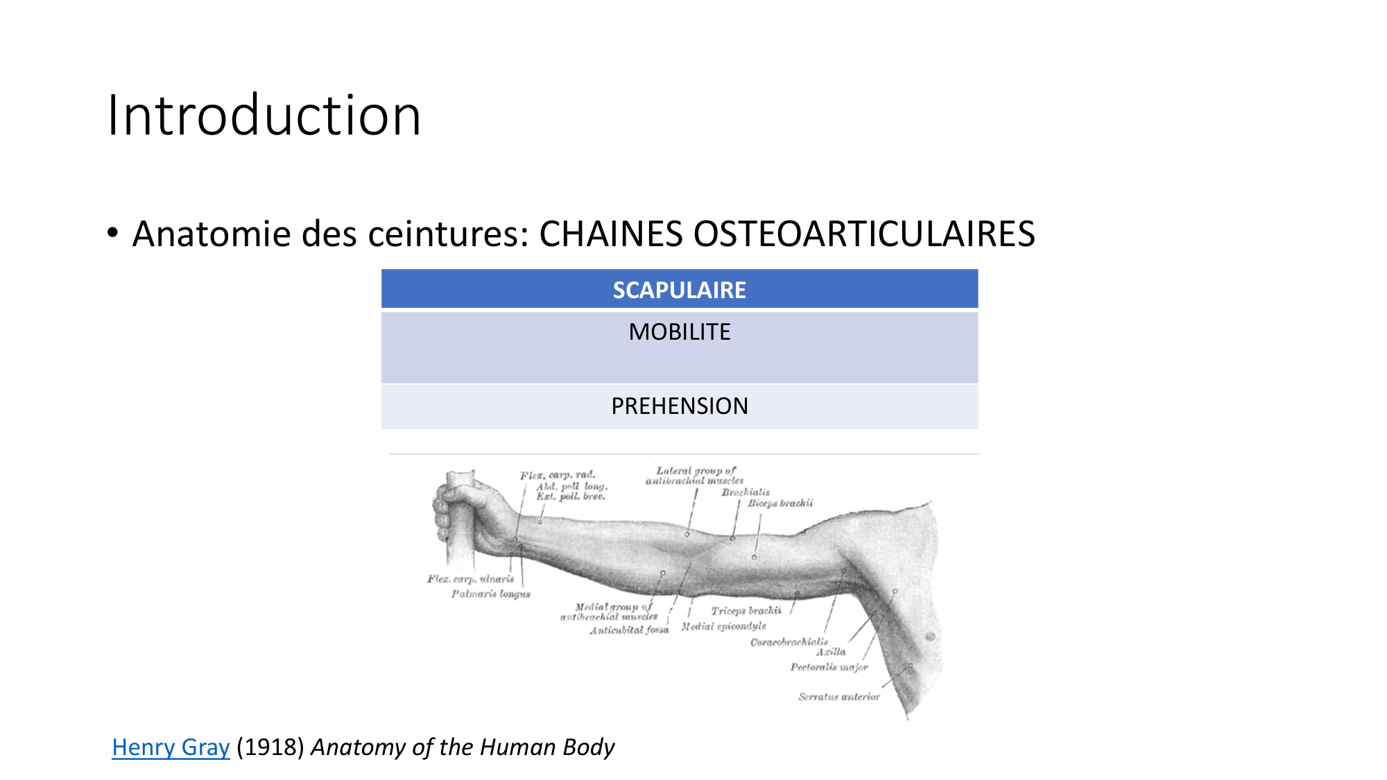 1 BA MS épaule 2025-26 page 3