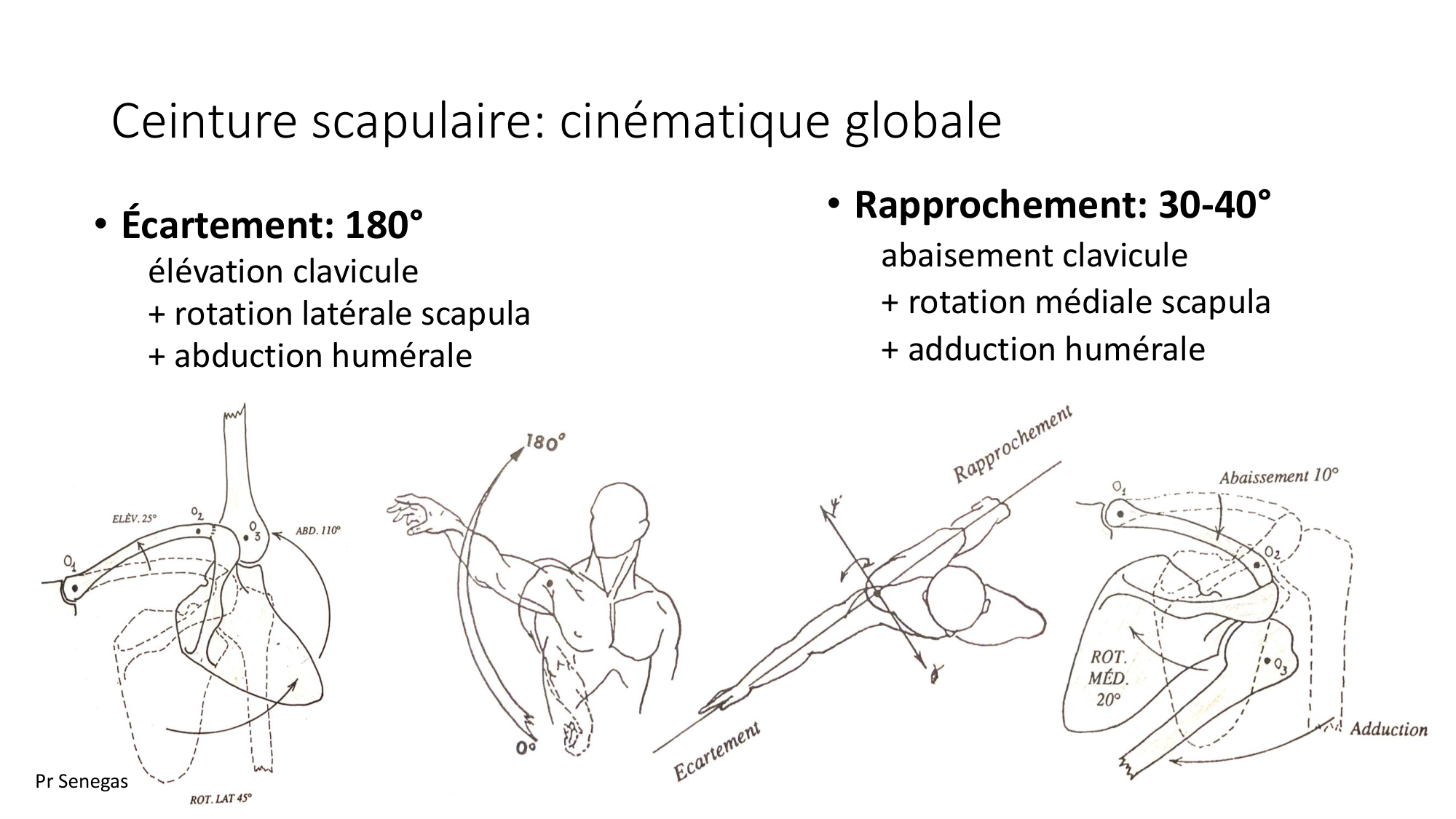 1 BA MS épaule 2025-26 page 10