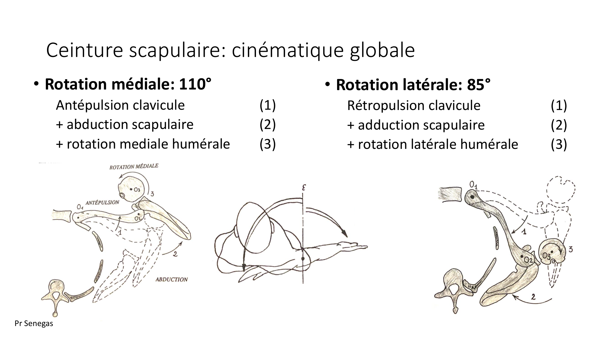 1 BA MS épaule 2025-26 page 11
