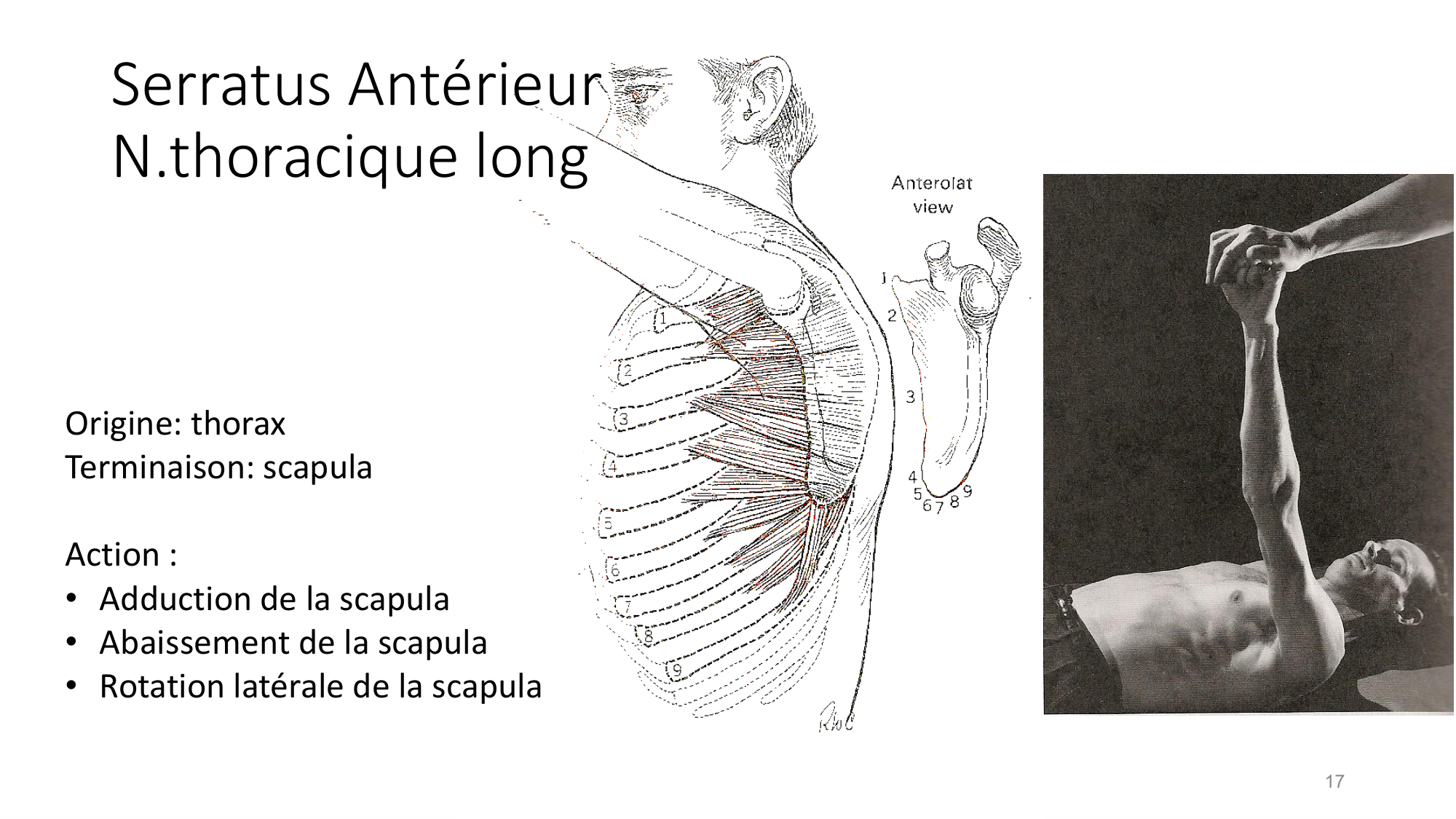 1 BA MS épaule 2025-26 page 17