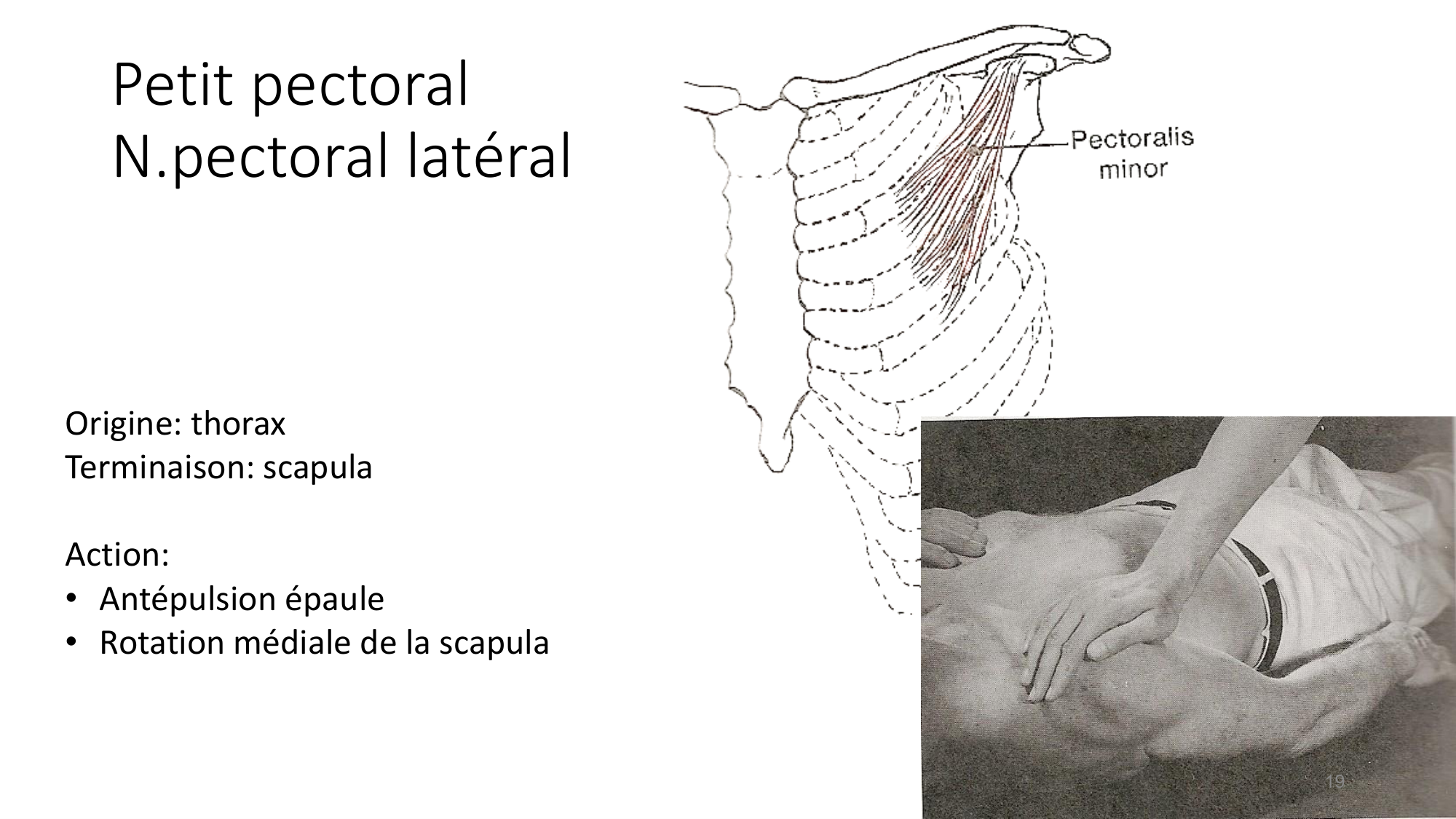 1 BA MS épaule 2025-26 page 19
