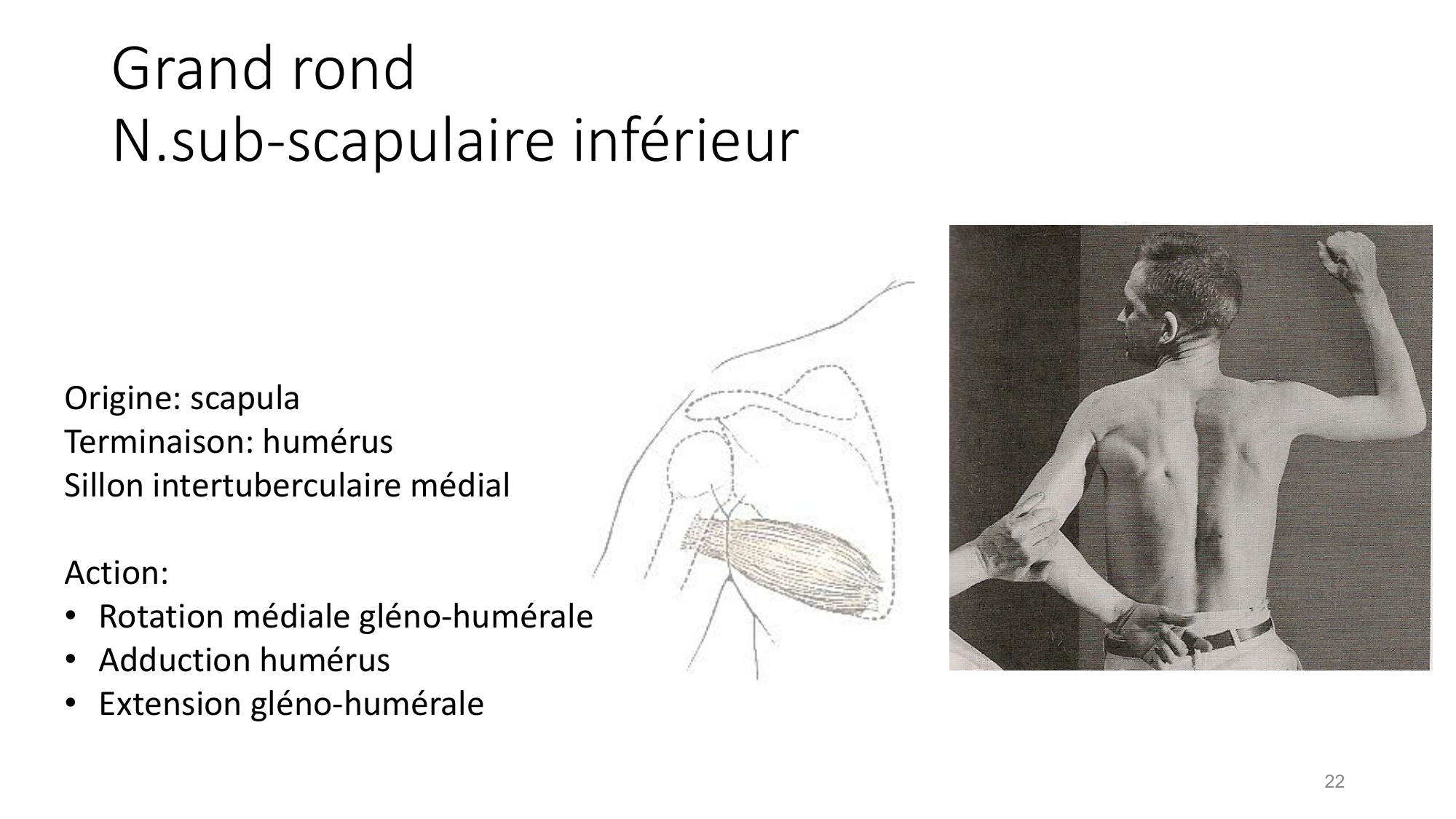 1 BA MS épaule 2025-26 page 22