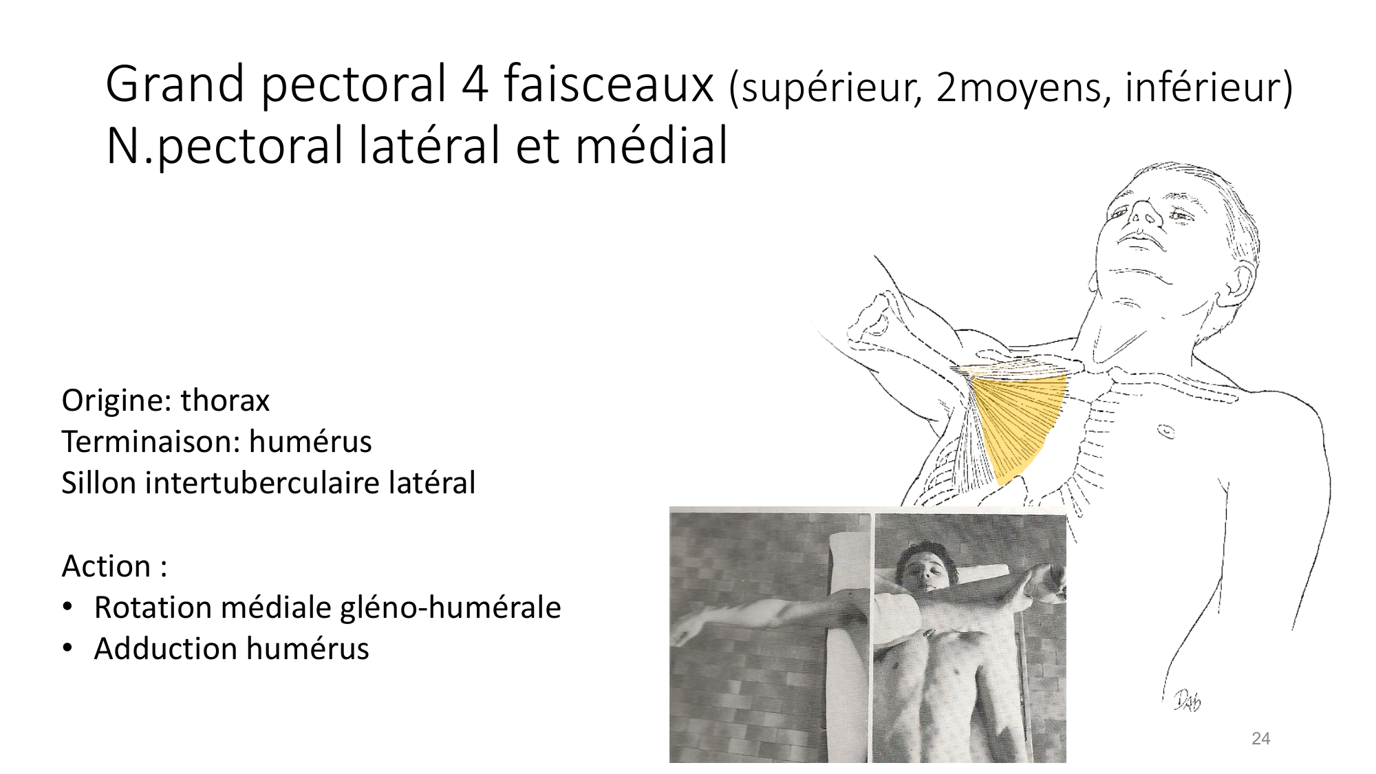 1 BA MS épaule 2025-26 page 24