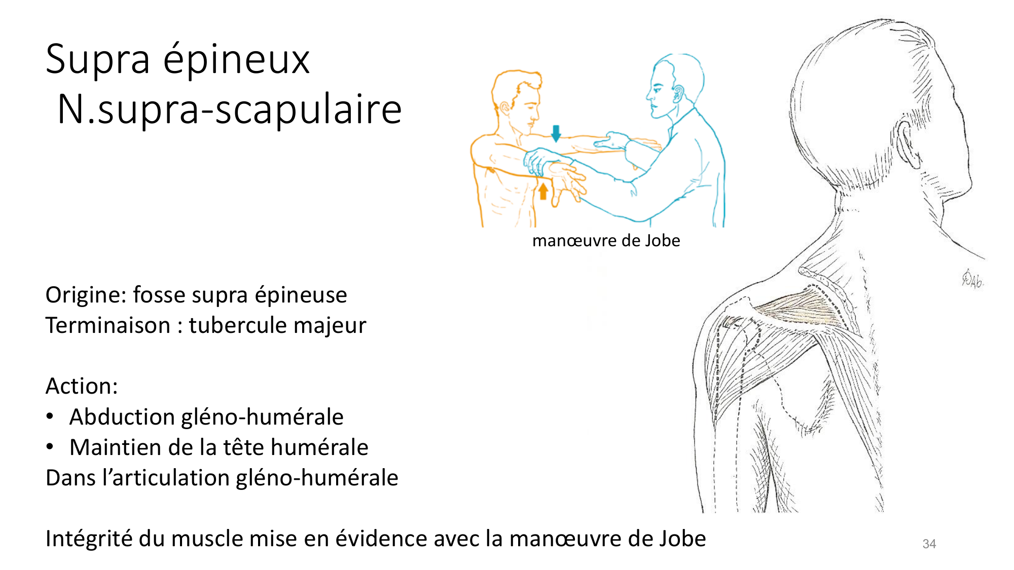 1 BA MS épaule 2025-26 page 32