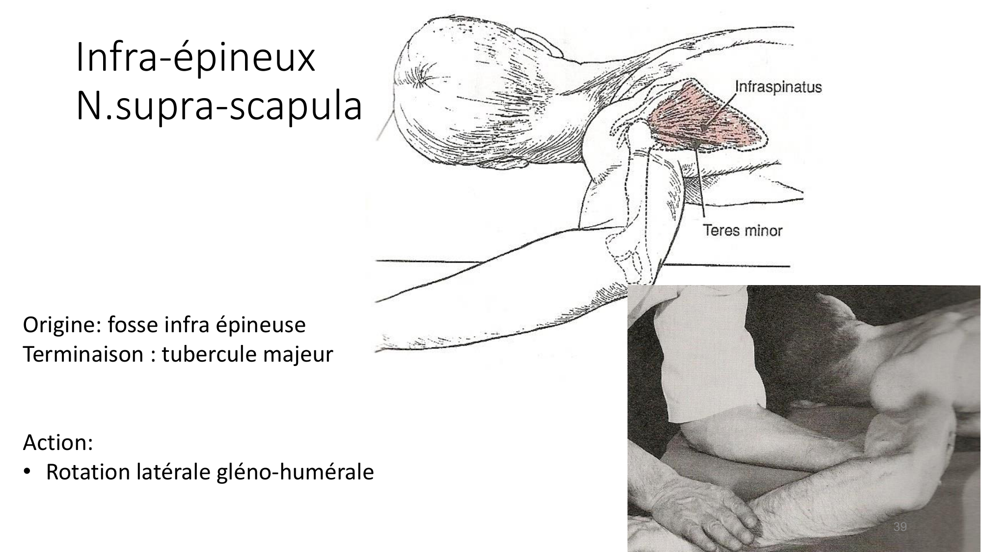 1 BA MS épaule 2025-26 page 37