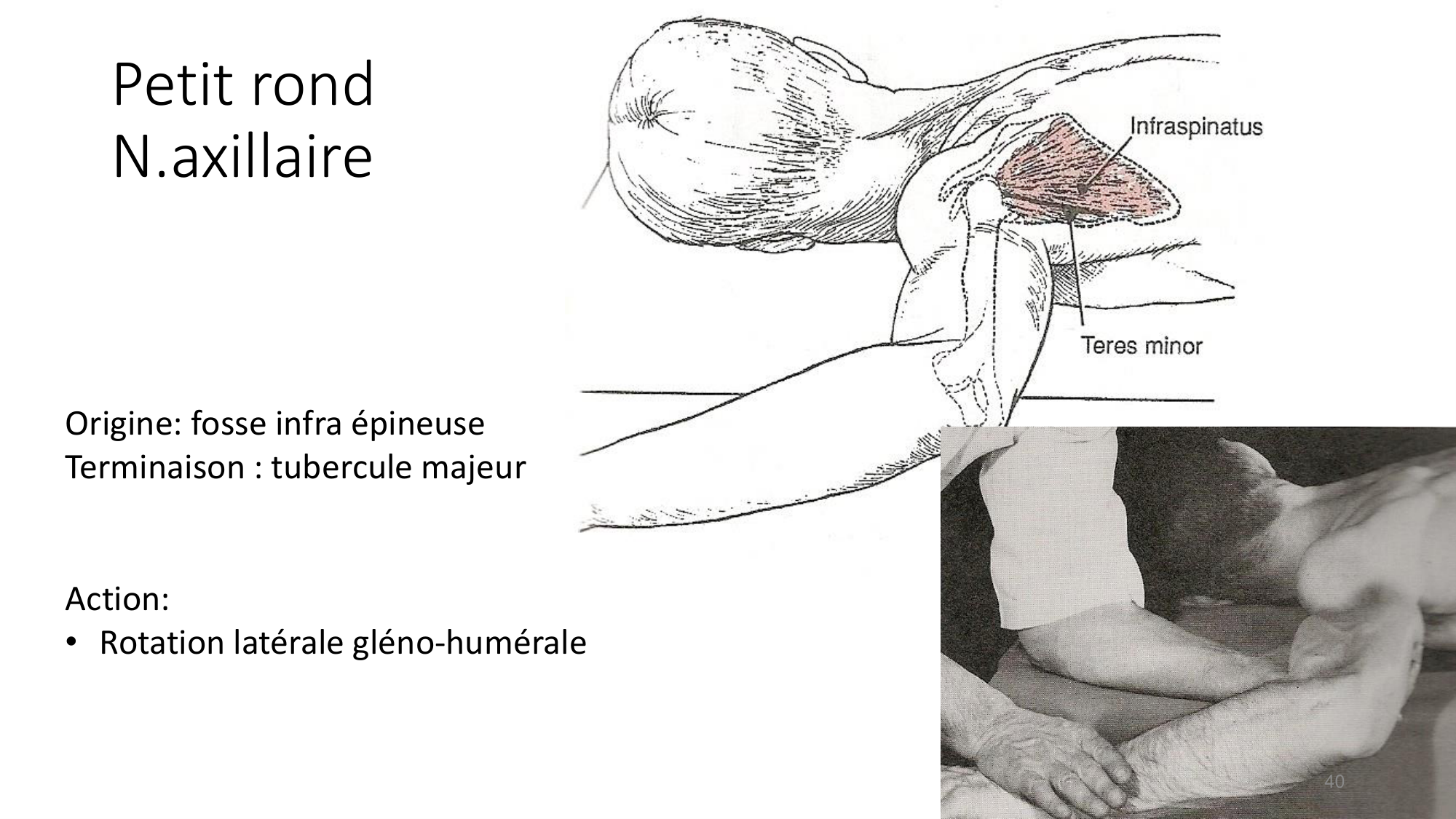 1 BA MS épaule 2025-26 page 38