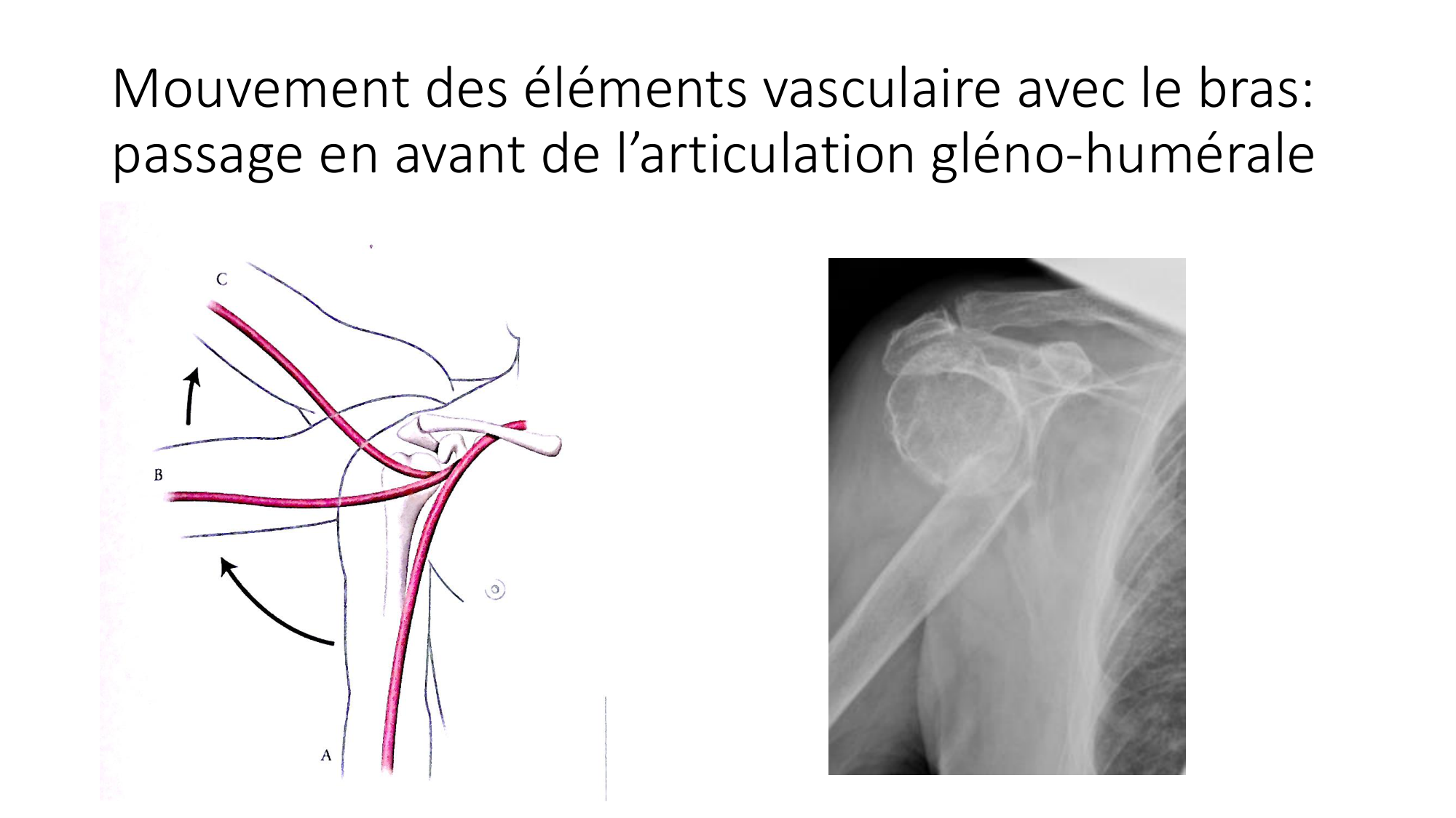 1 BA MS épaule 2025-26 page 45