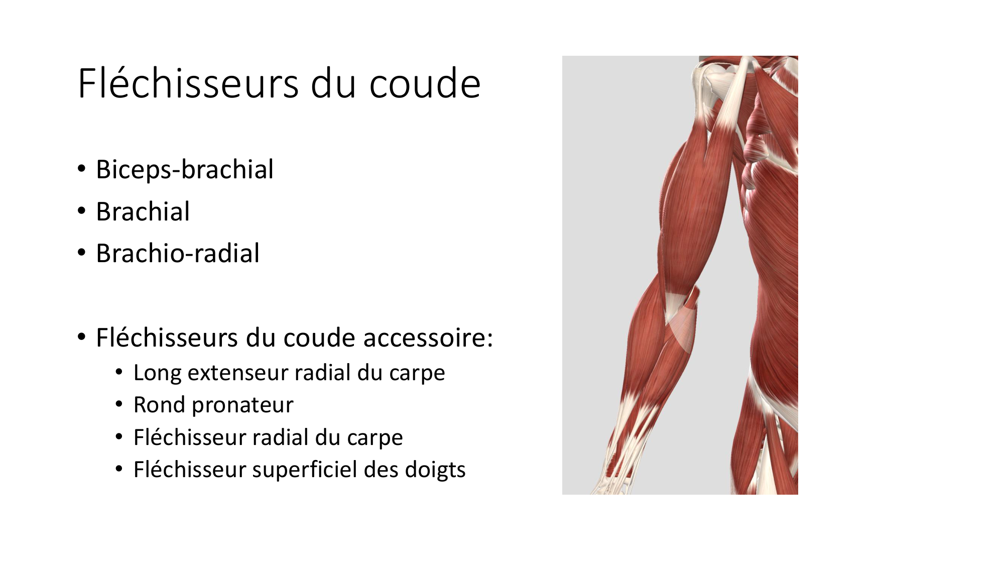 1 BA MS coude 2025-26 page 11