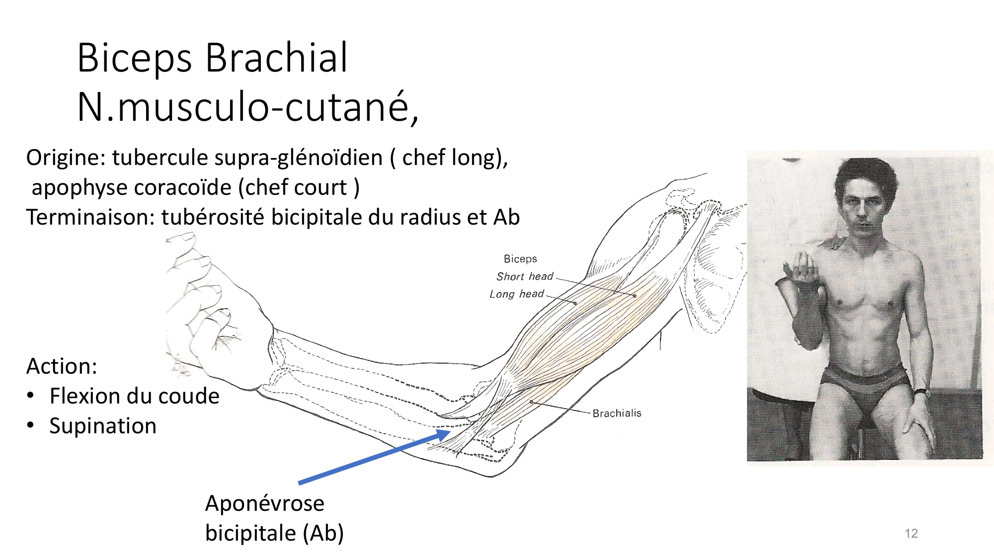 1 BA MS coude 2025-26 page 12