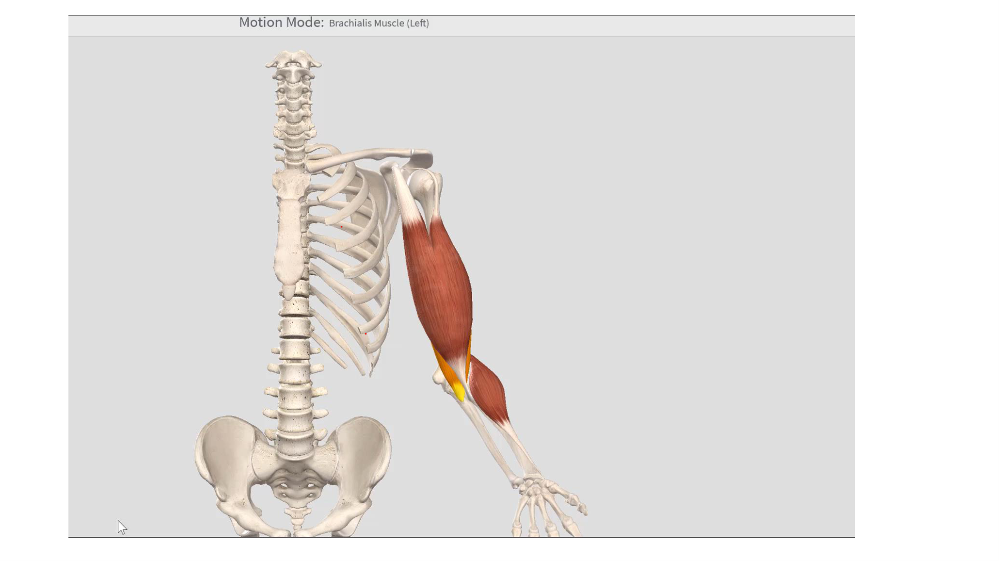 1 BA MS coude 2025-26 page 16