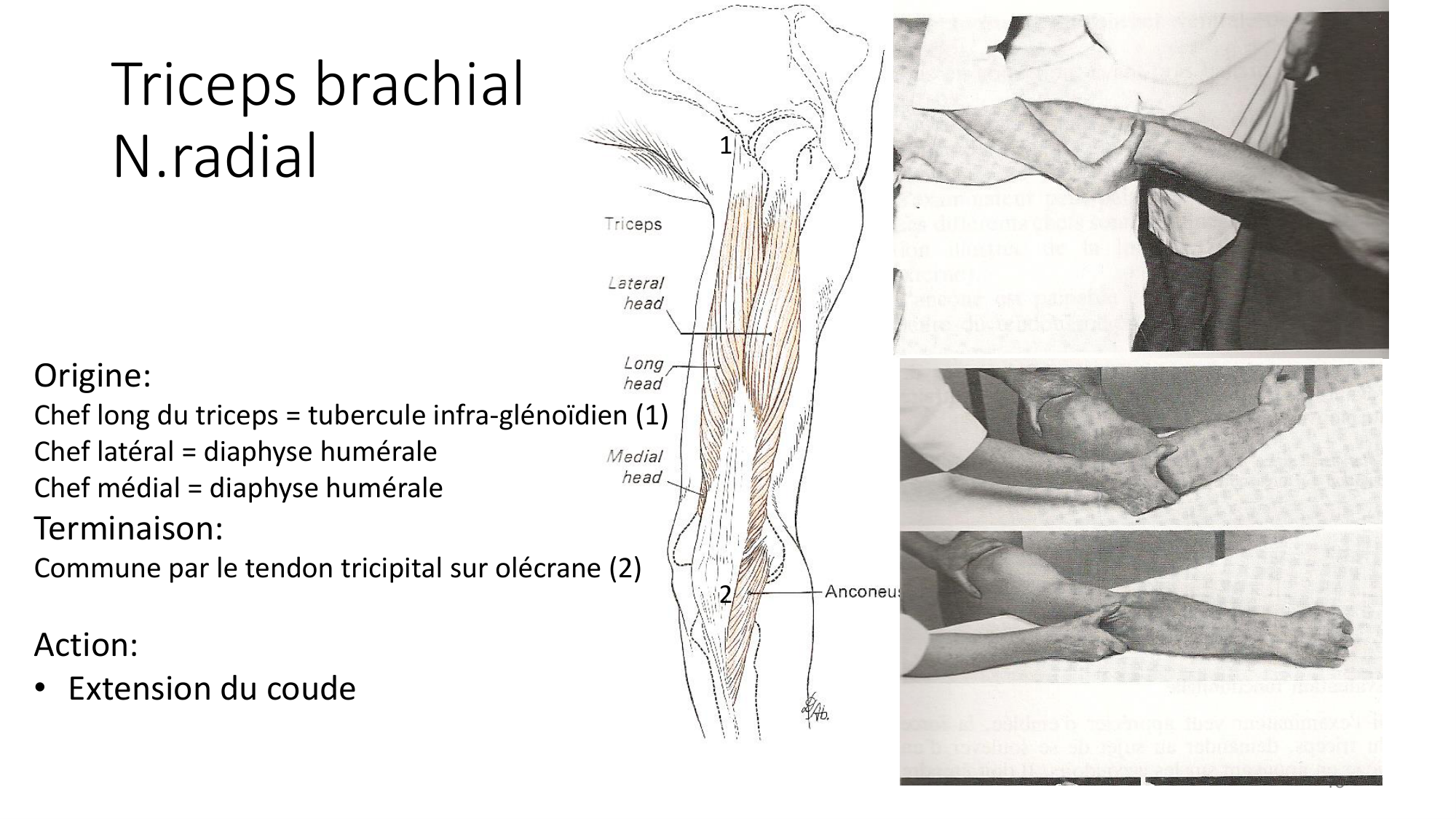 1 BA MS coude 2025-26 page 18