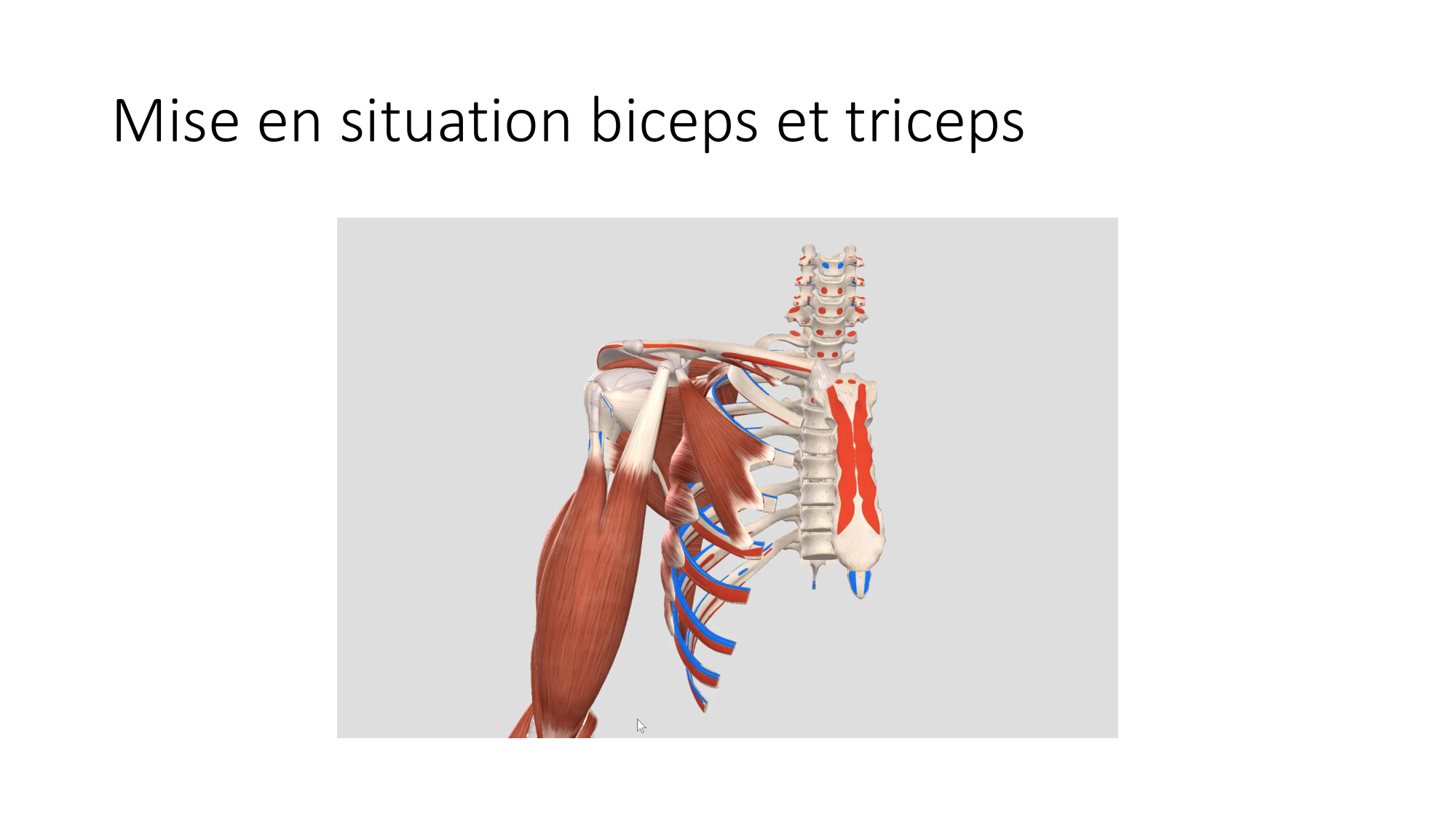 1 BA MS coude 2025-26 page 21