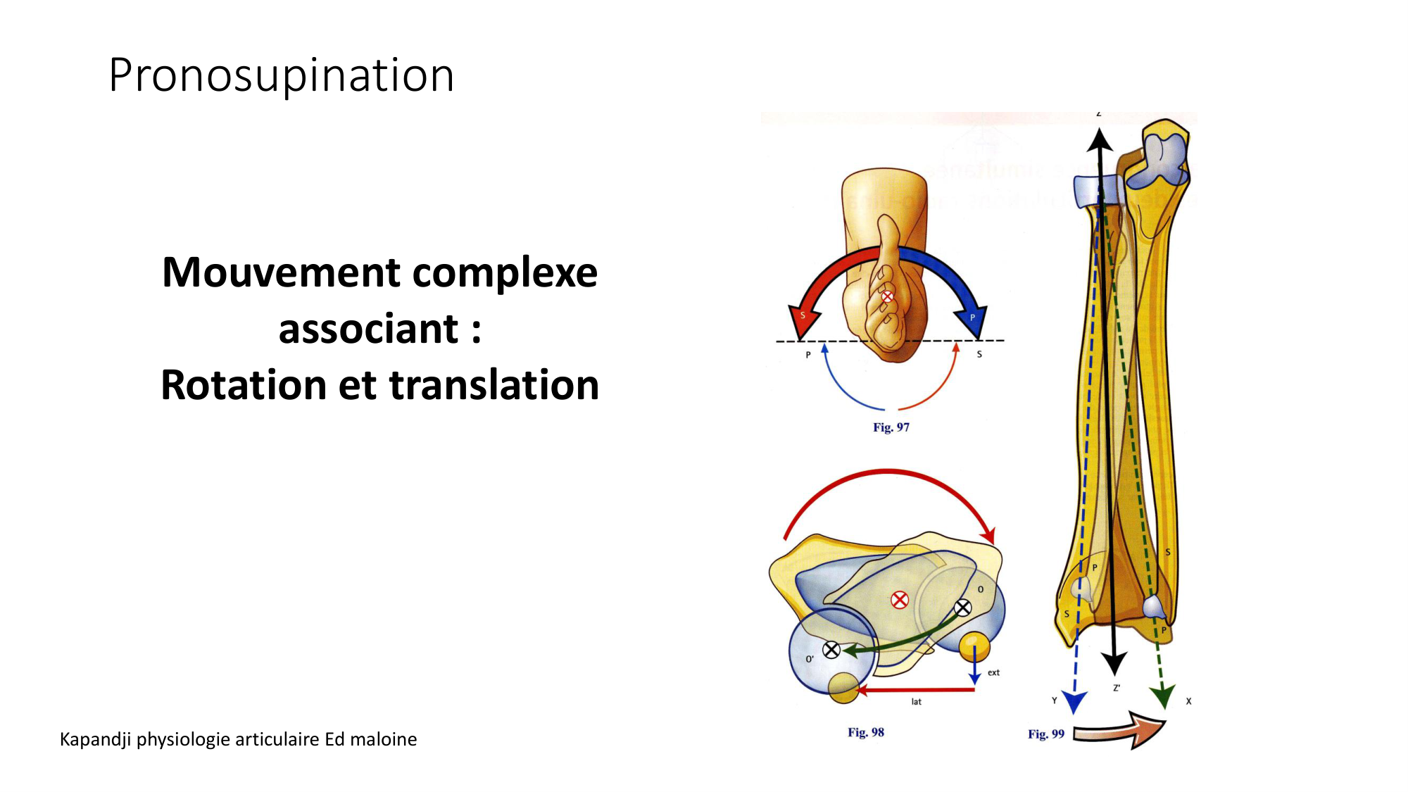 1 BA MS coude 2025-26 page 23