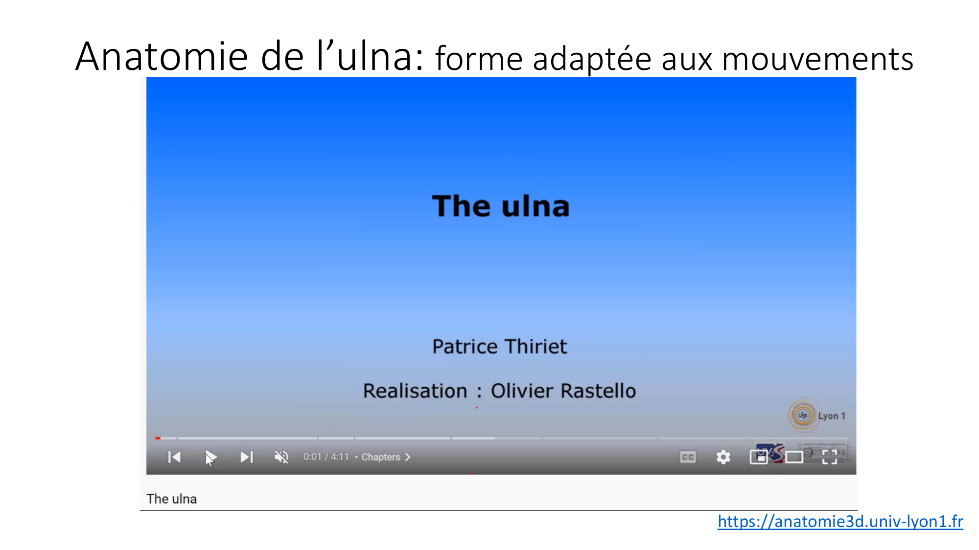 1 BA MS coude 2025-26 page 24