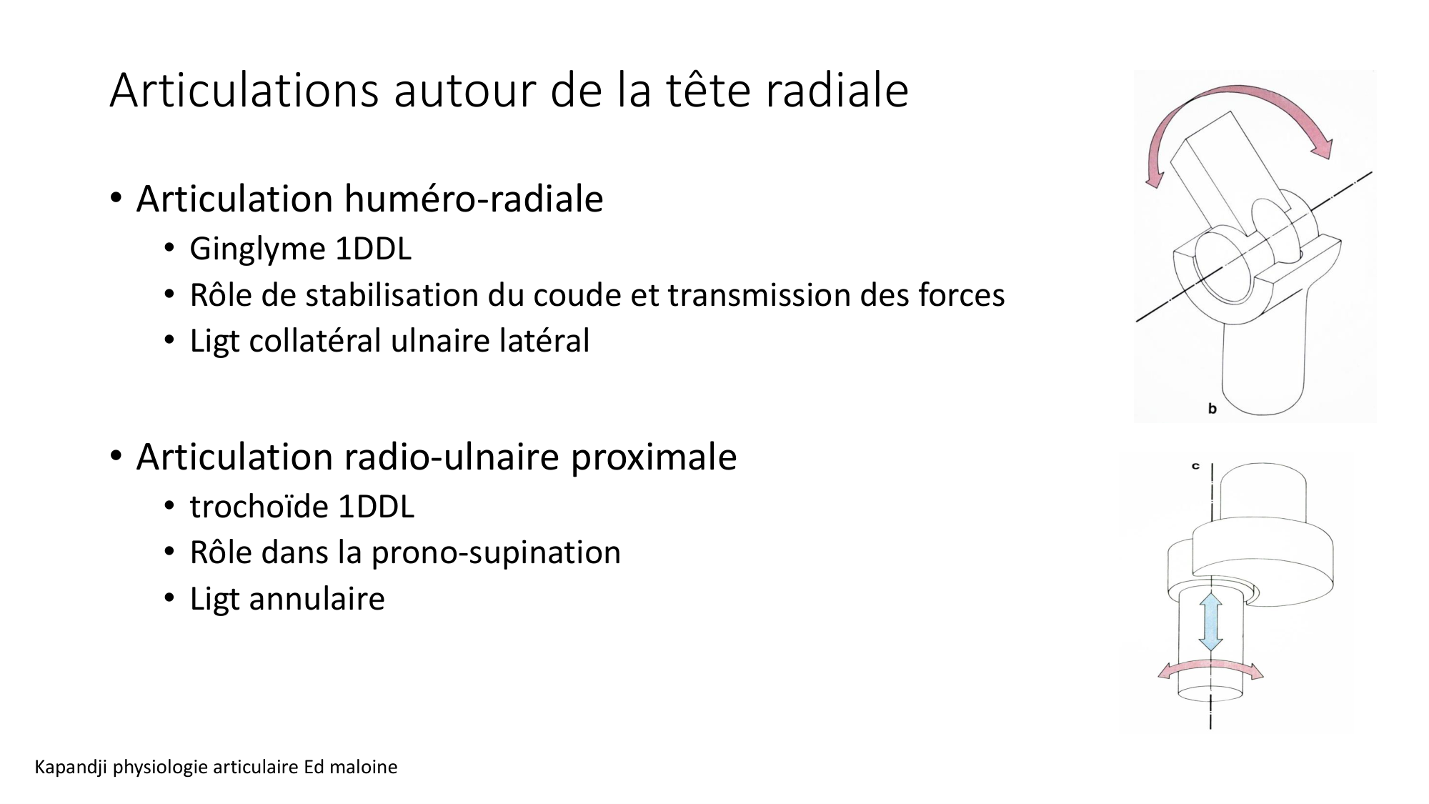 1 BA MS coude 2025-26 page 26