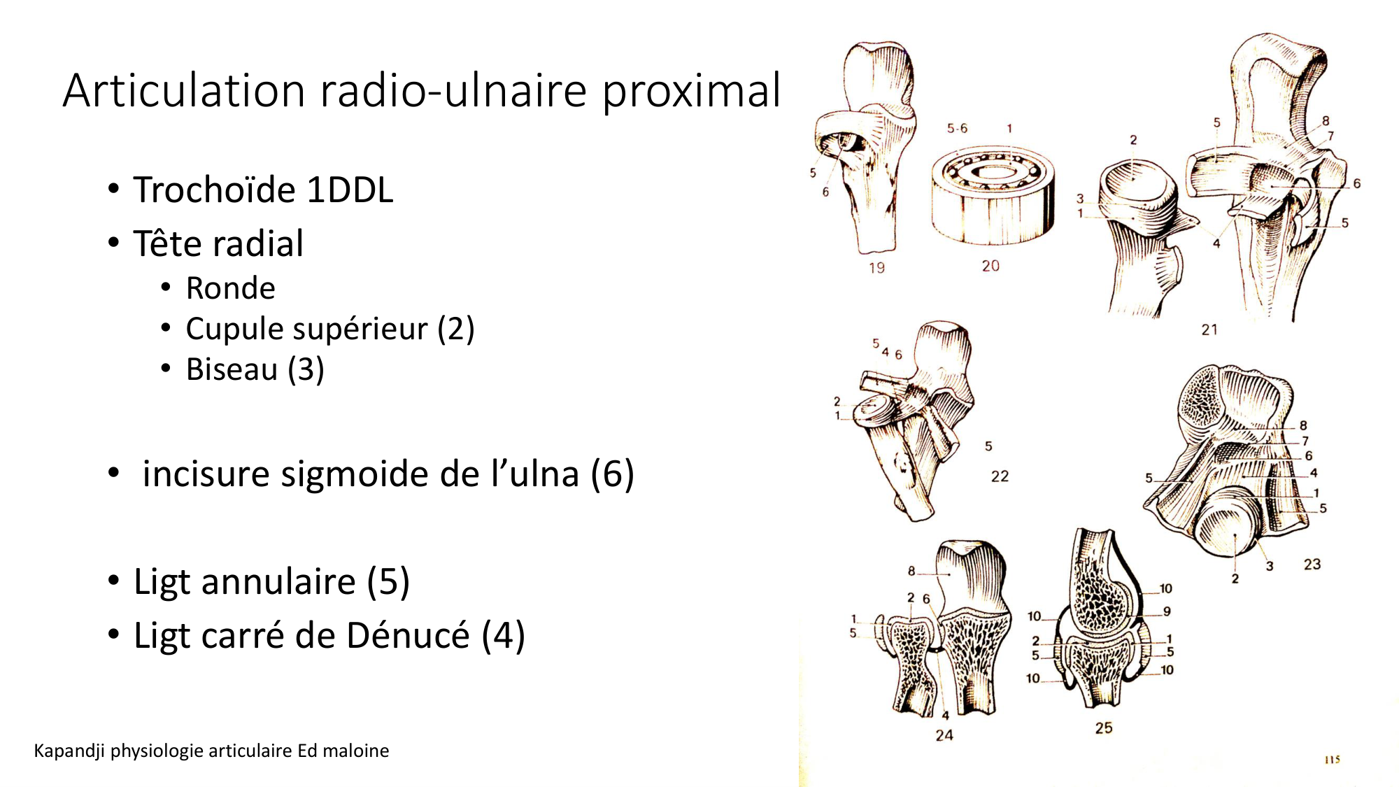 1 BA MS coude 2025-26 page 27