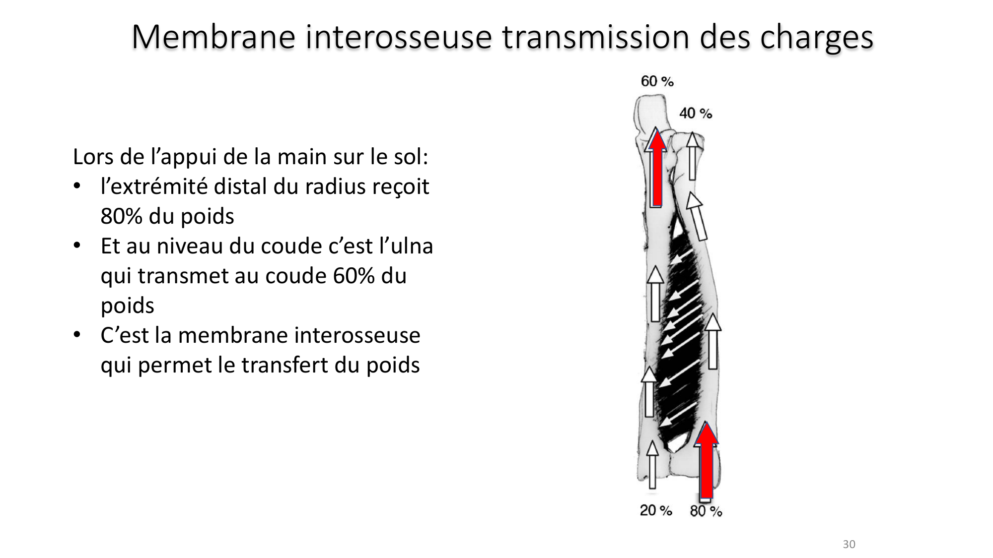 1 BA MS coude 2025-26 page 30
