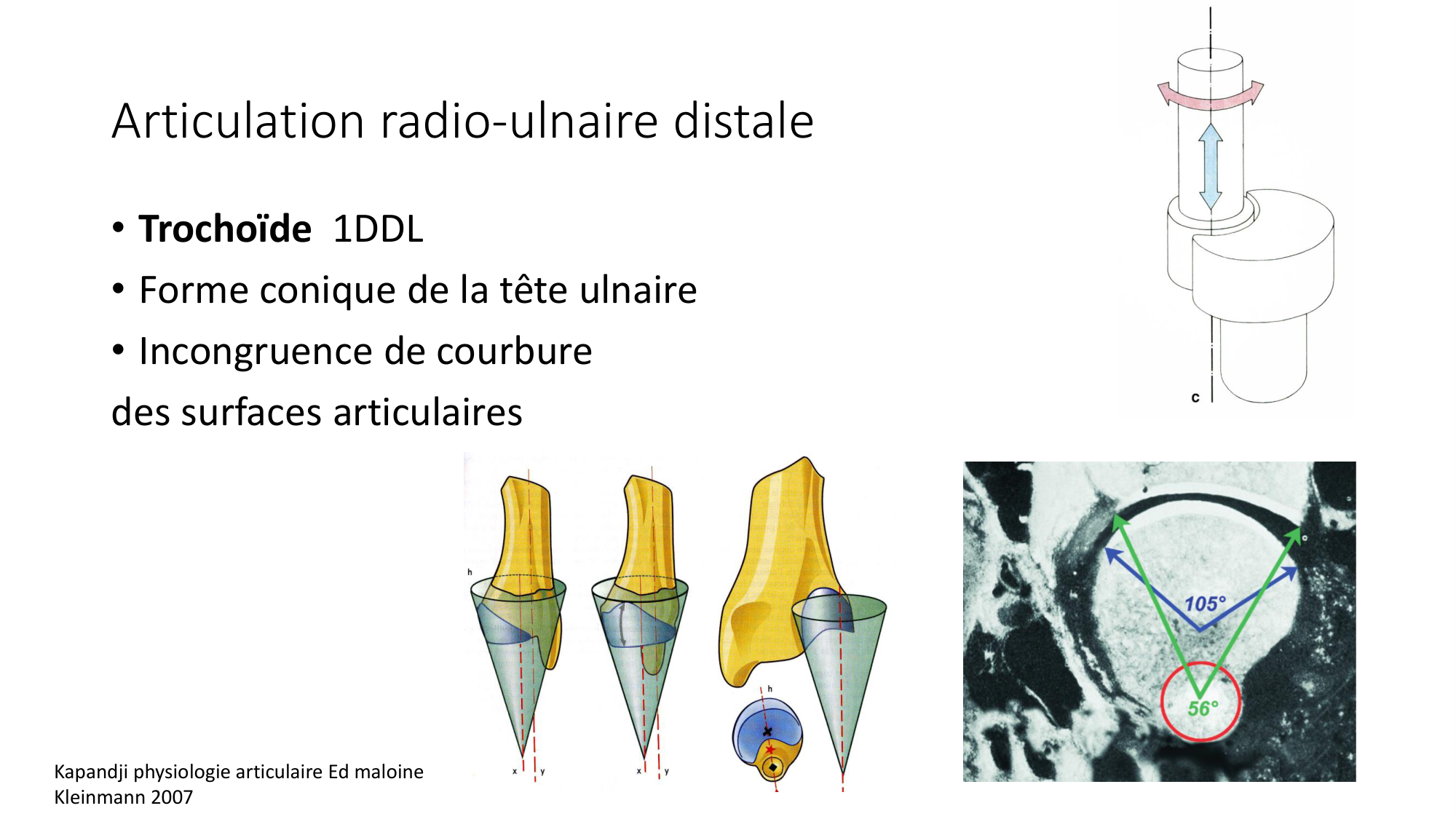 1 BA MS coude 2025-26 page 31